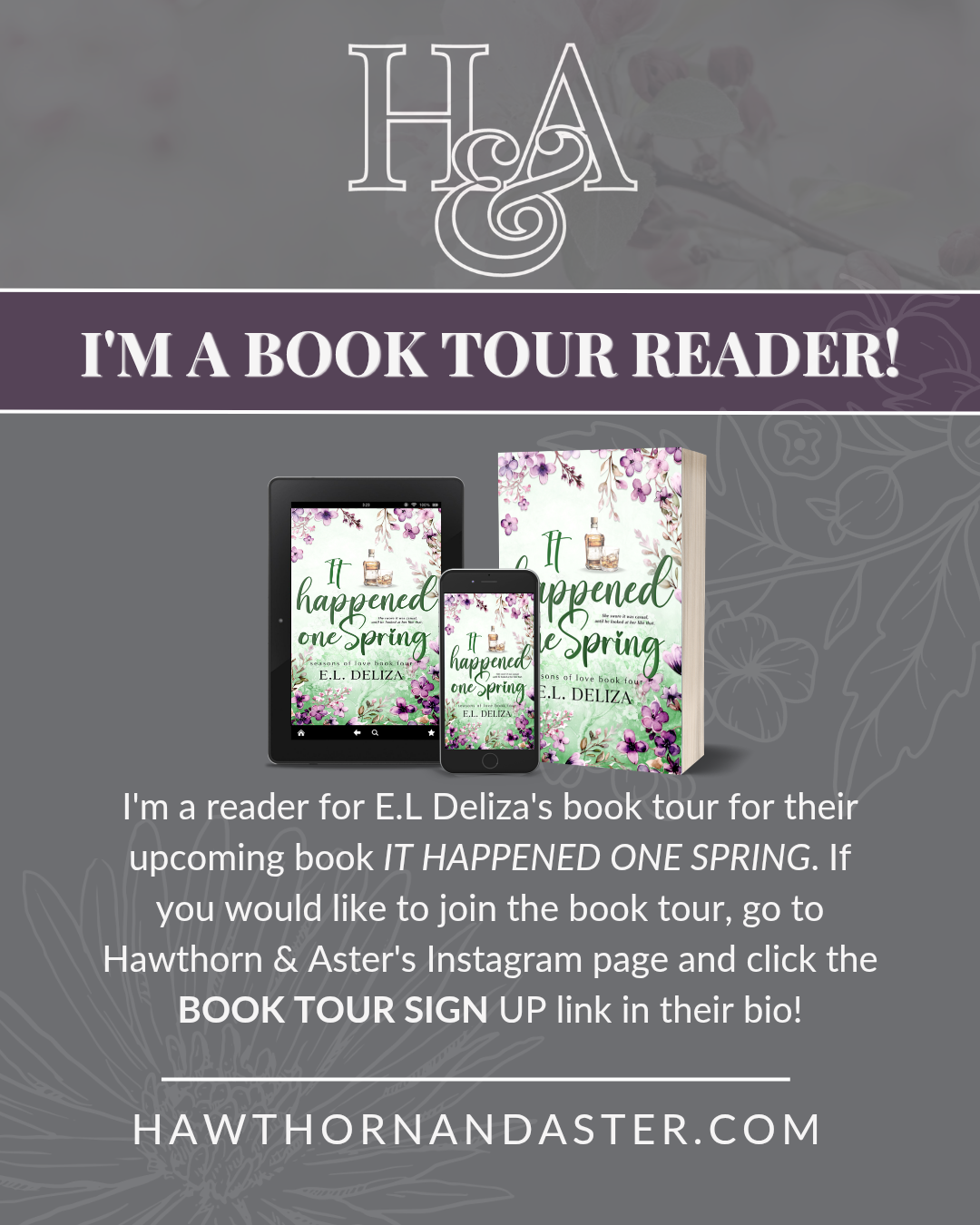 Tour Reader for E.L. Deliza's It Happened One Spring