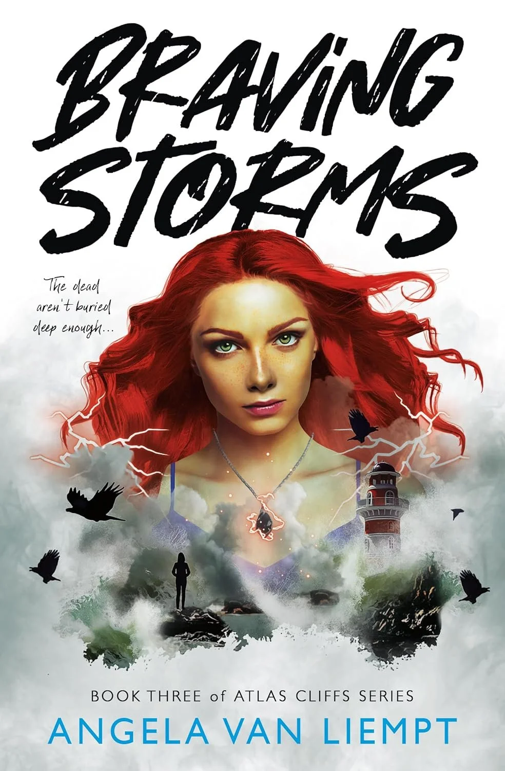 Braving Storms by Angela van Leimpt, Atlas Cliffs Book #3, a young adult mystery