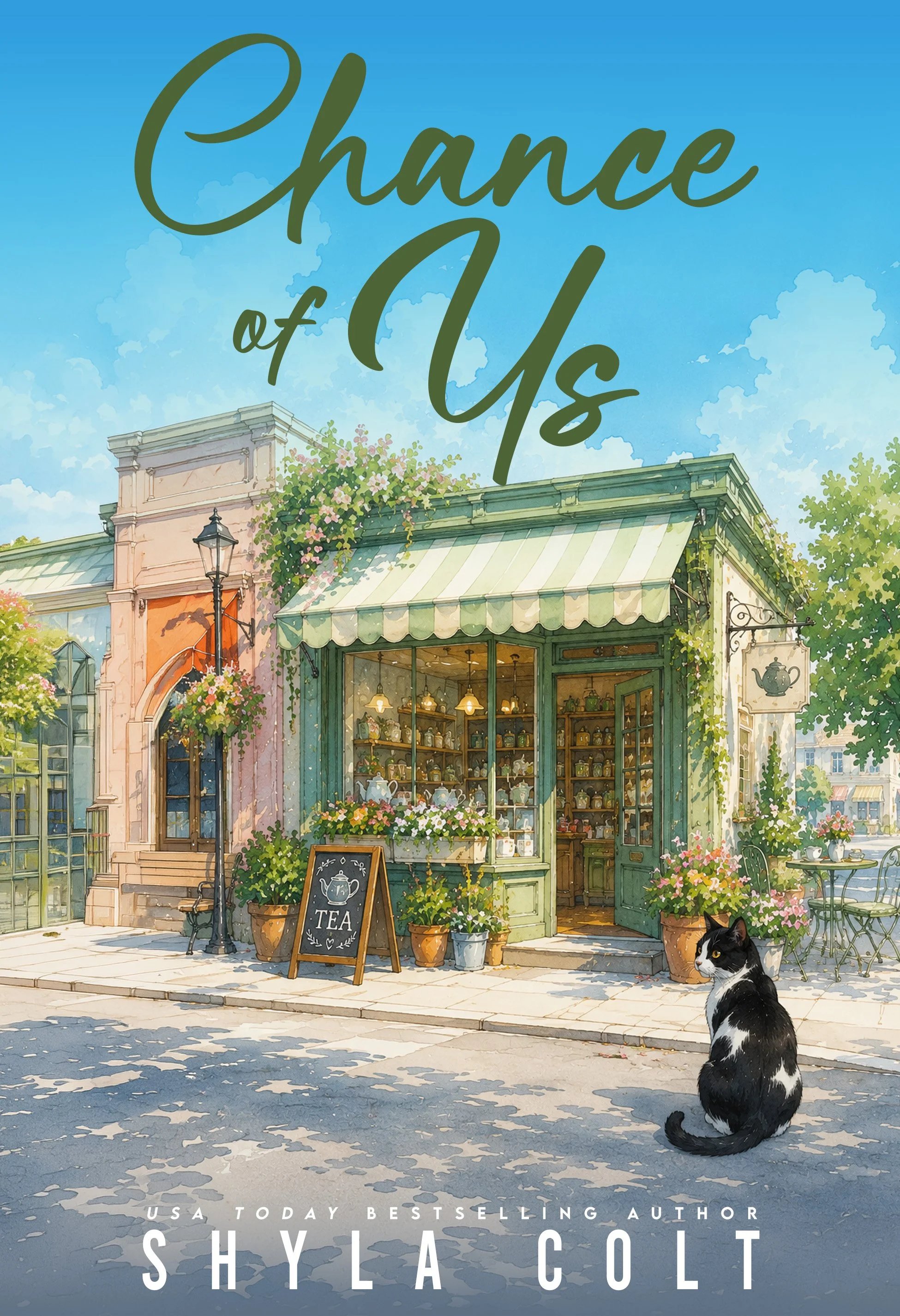 Chance of Us by Shyla Colt, Chance Falls Book 3 looking for ARC Readers, Advanced Copy Cover