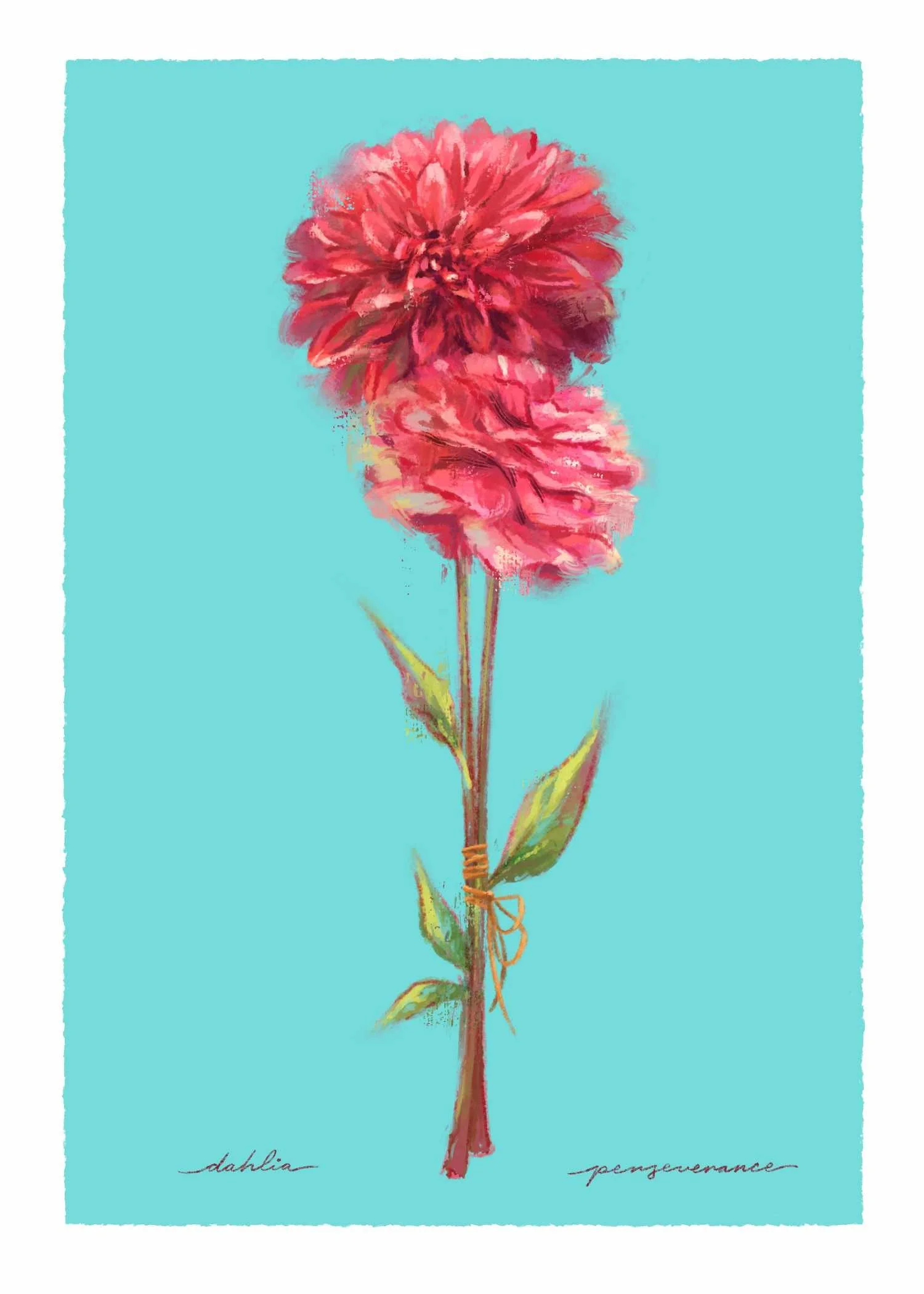 Fall_Minis_dahlia.jpg