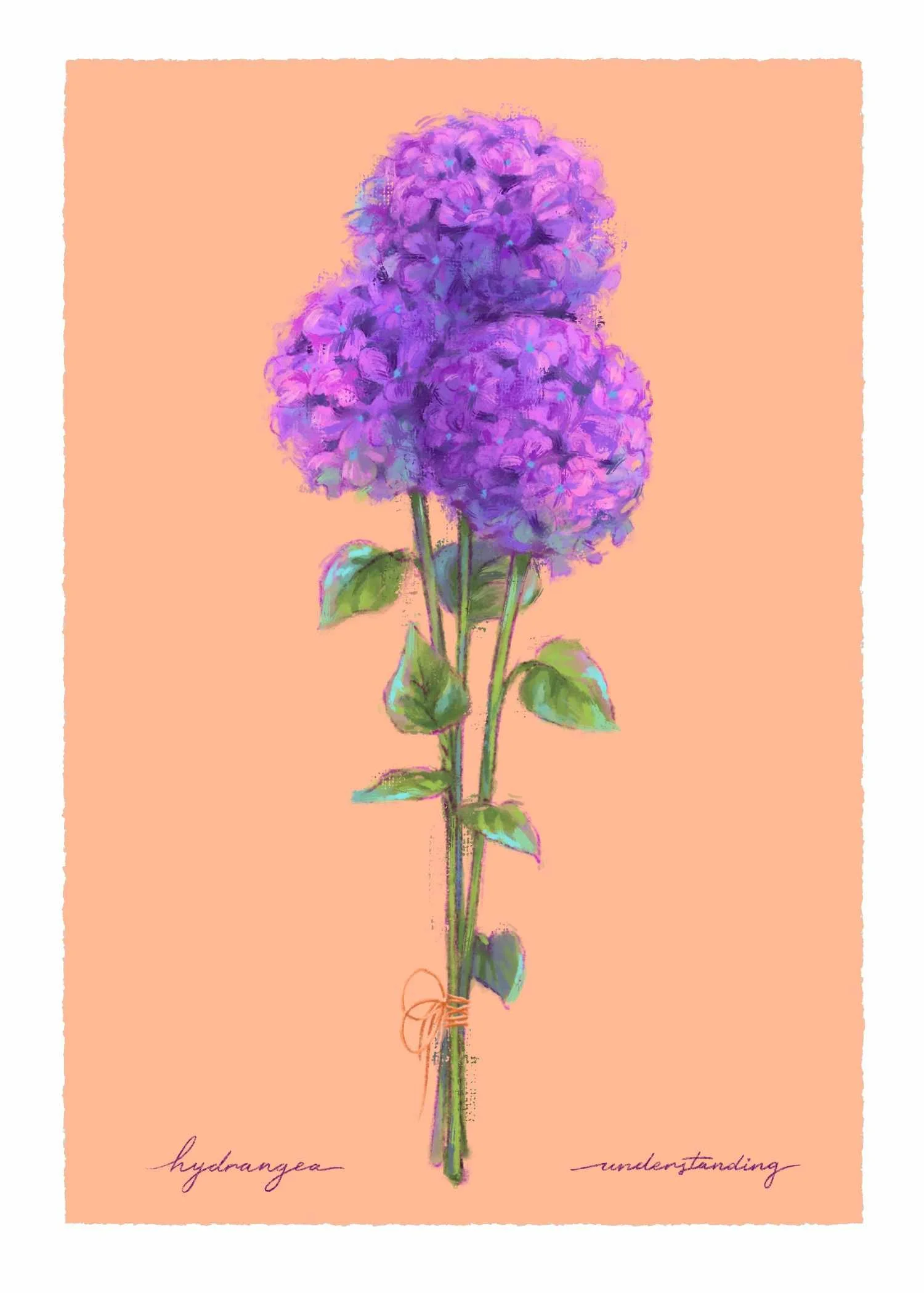 Fall_Minis_hydrangea.jpg