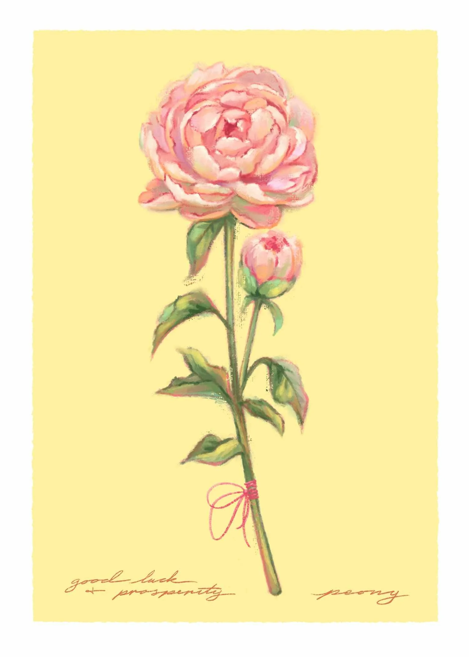 Summer_Minis-peony.jpg