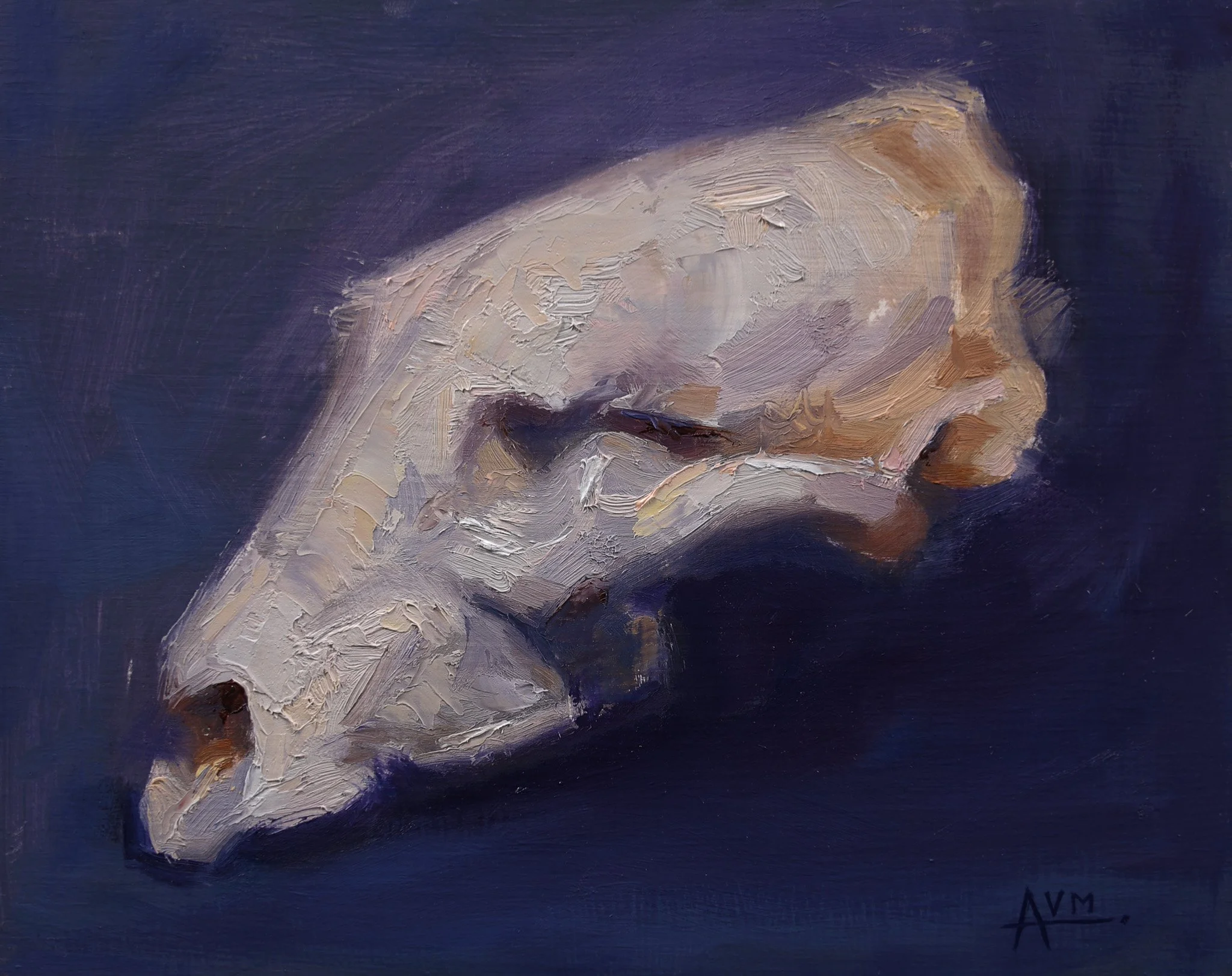"Sheep Skull" Oil on panel, 8x10"