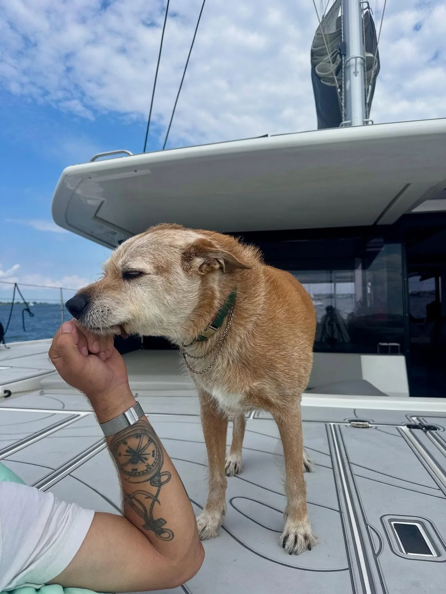Captain Good Boy 🪽
Our crew knows that a charter isn’t complete without your whole family, which is why we’re proud to be 100% dog-friendly! 🐾
Bring your furry friends along for the fun on your next sea escape🌊