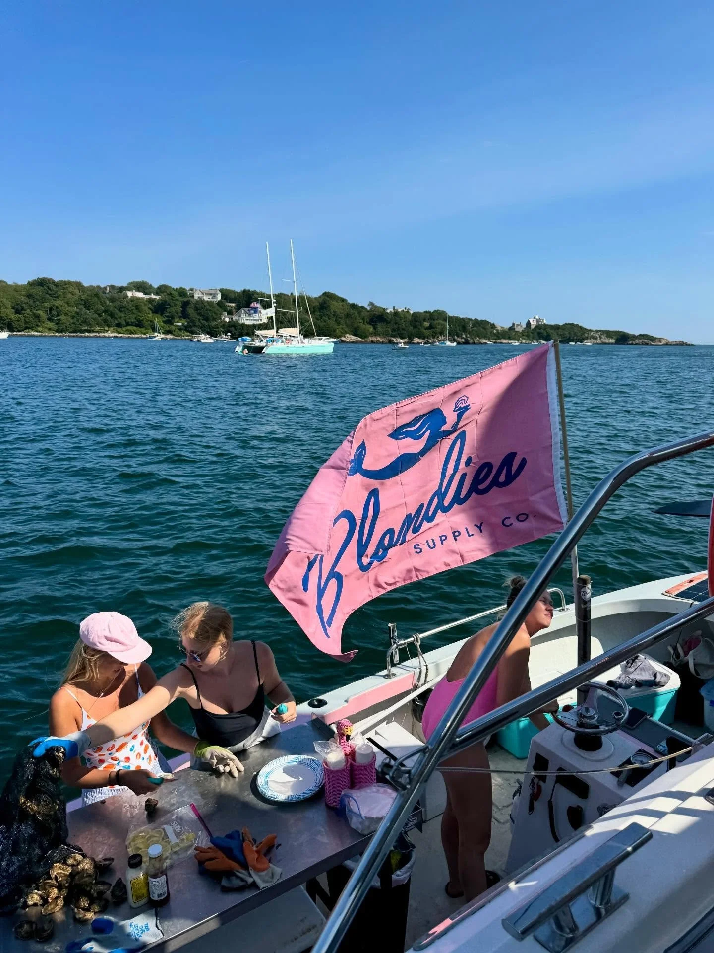 we&rsquo;re missing @blondiessupplyco fresh raw bar on the water right about now 🦪