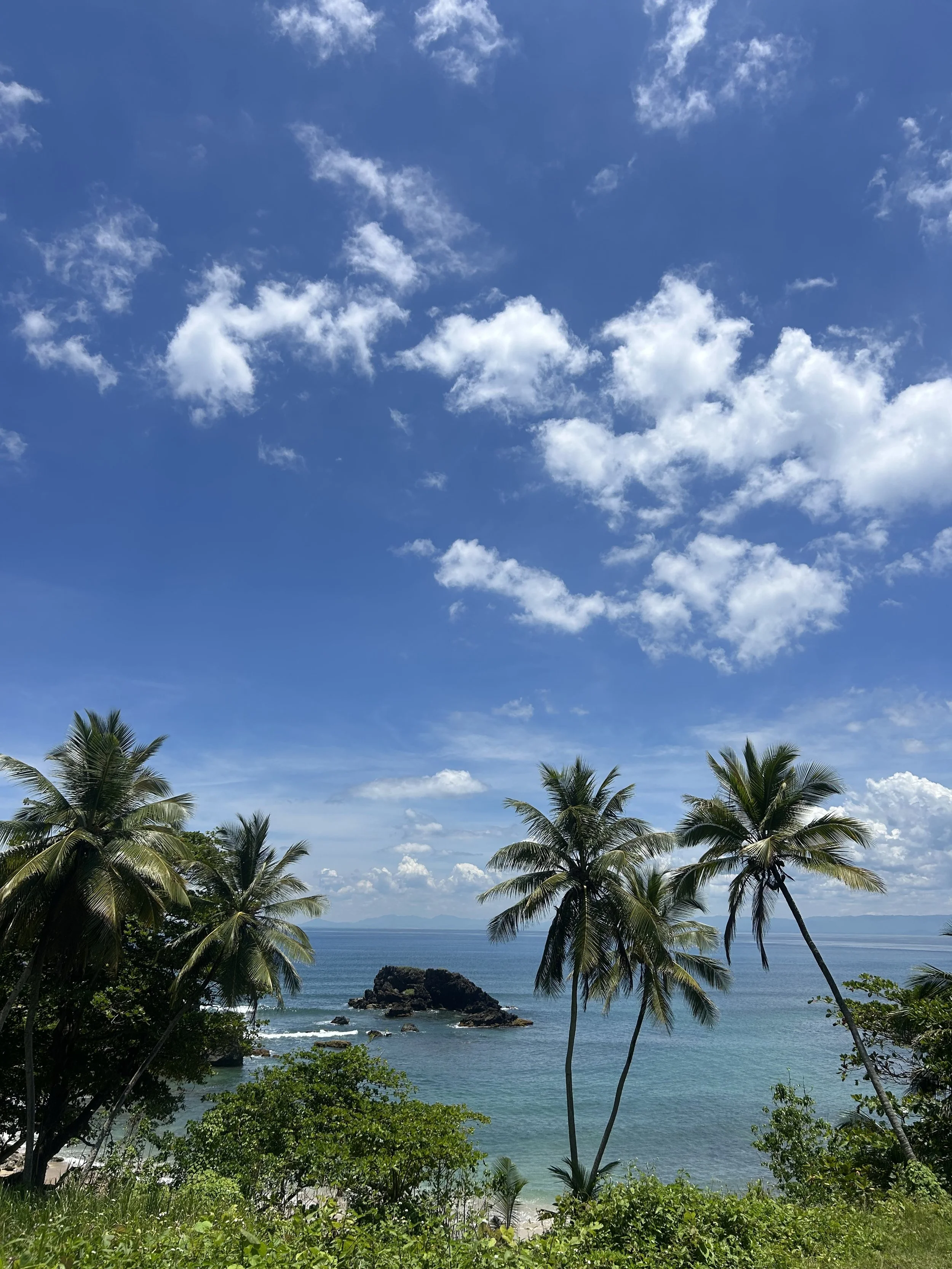 IMG_1426.jpeg