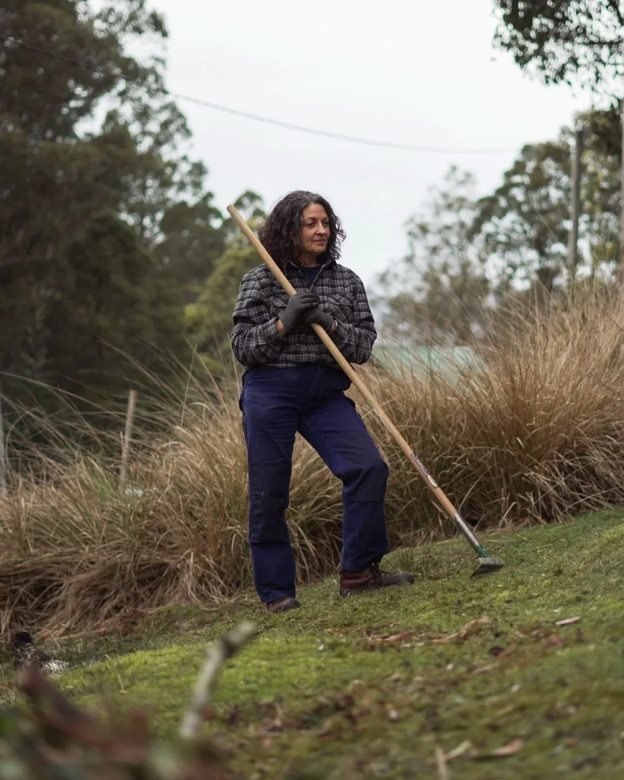 Bushfire Season | ABC News