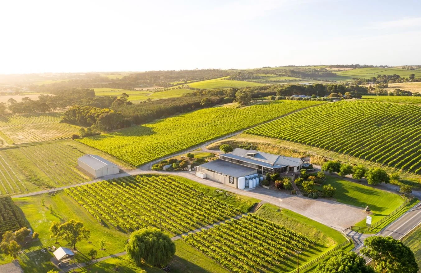 Maxwell Wines Hero.JPG