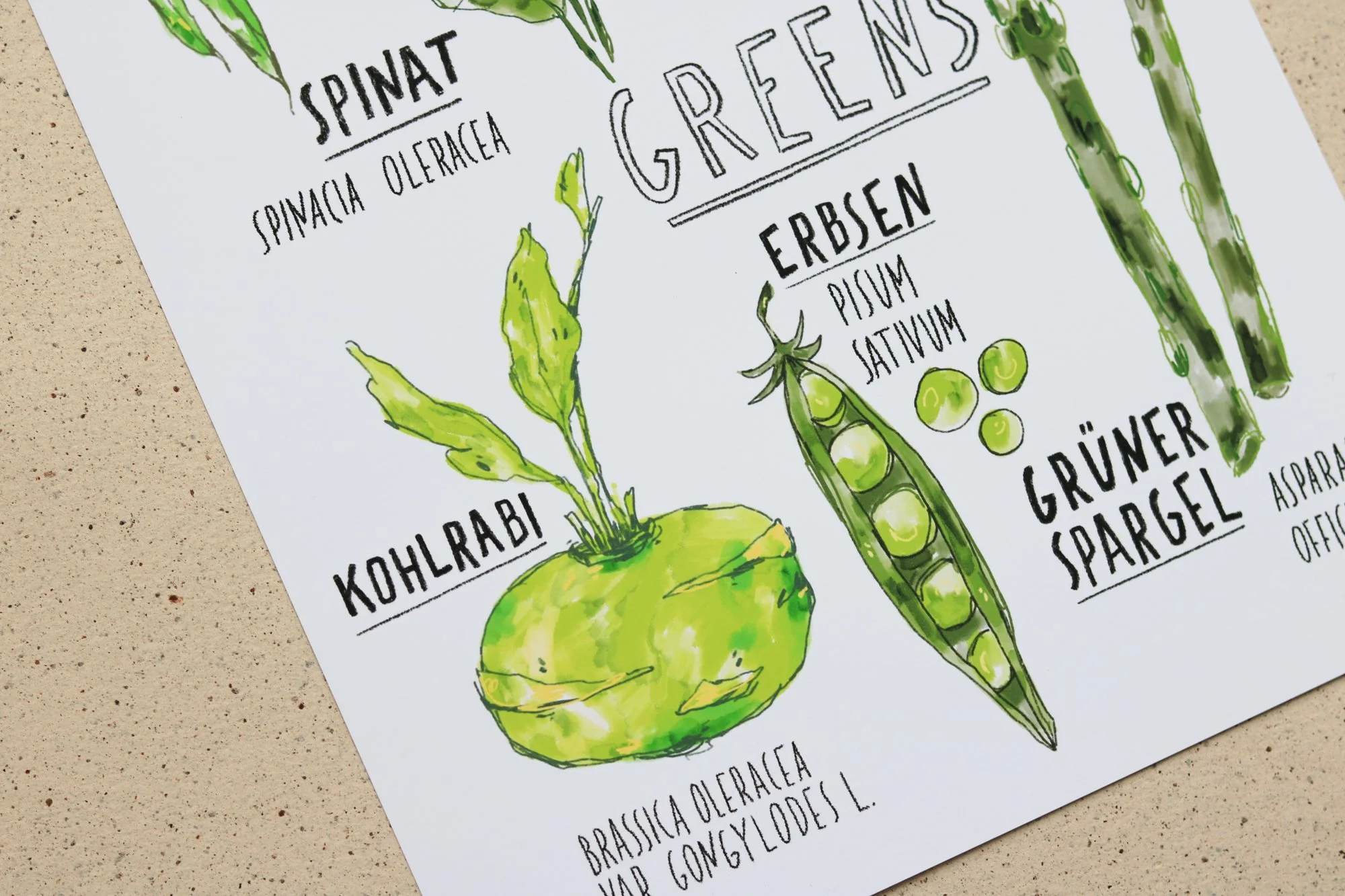ArtPrint_Greens-3.jpg