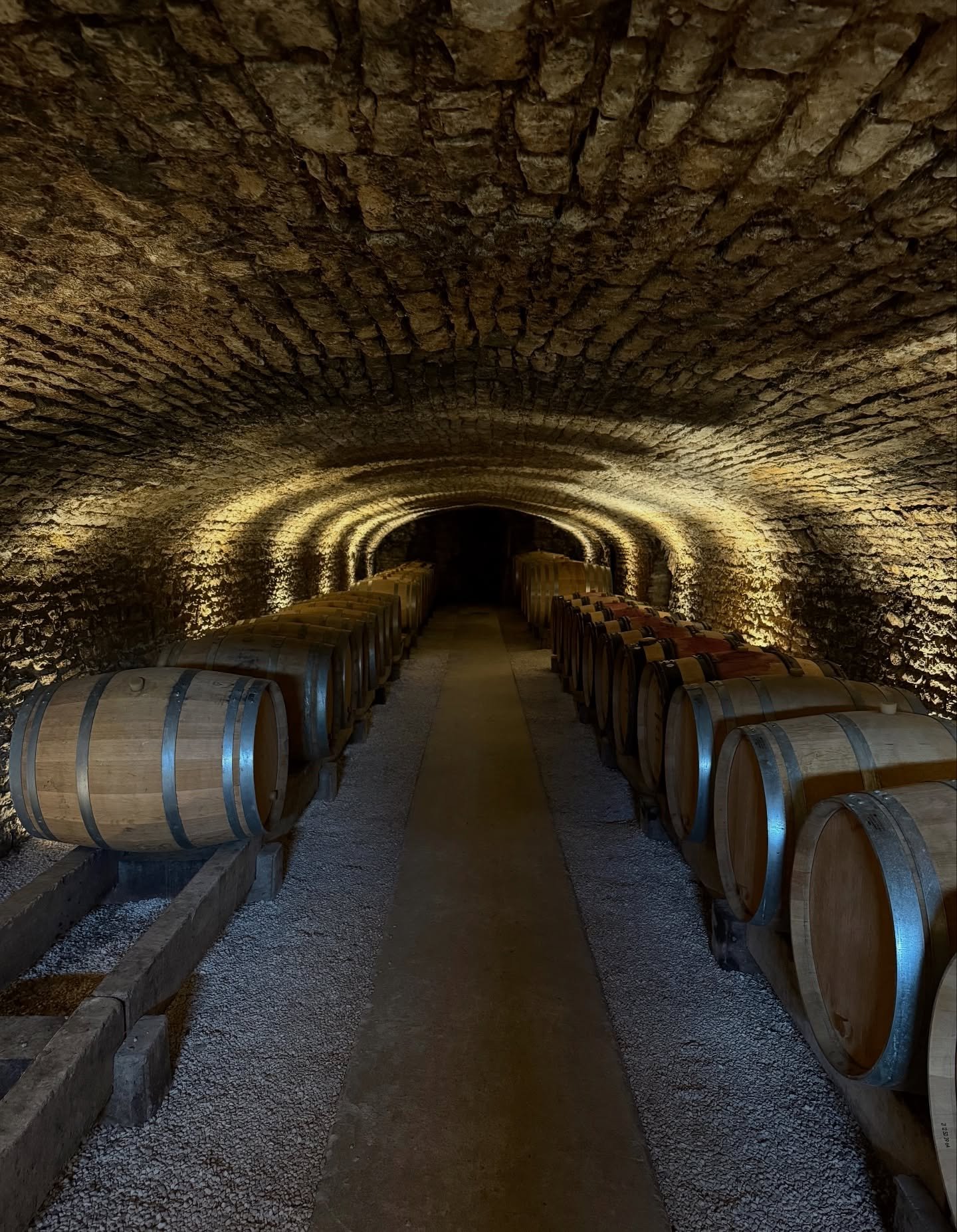 I began the year where everything tastes like endless summer: Hawke&rsquo;s Bay in New Zealand. Then came Hunter Valley, my favourite Riesling from the Mosel, Piedmont&rsquo;s Barolos, and finally, all those dangerously smooth Burgundies.

Somewhere 