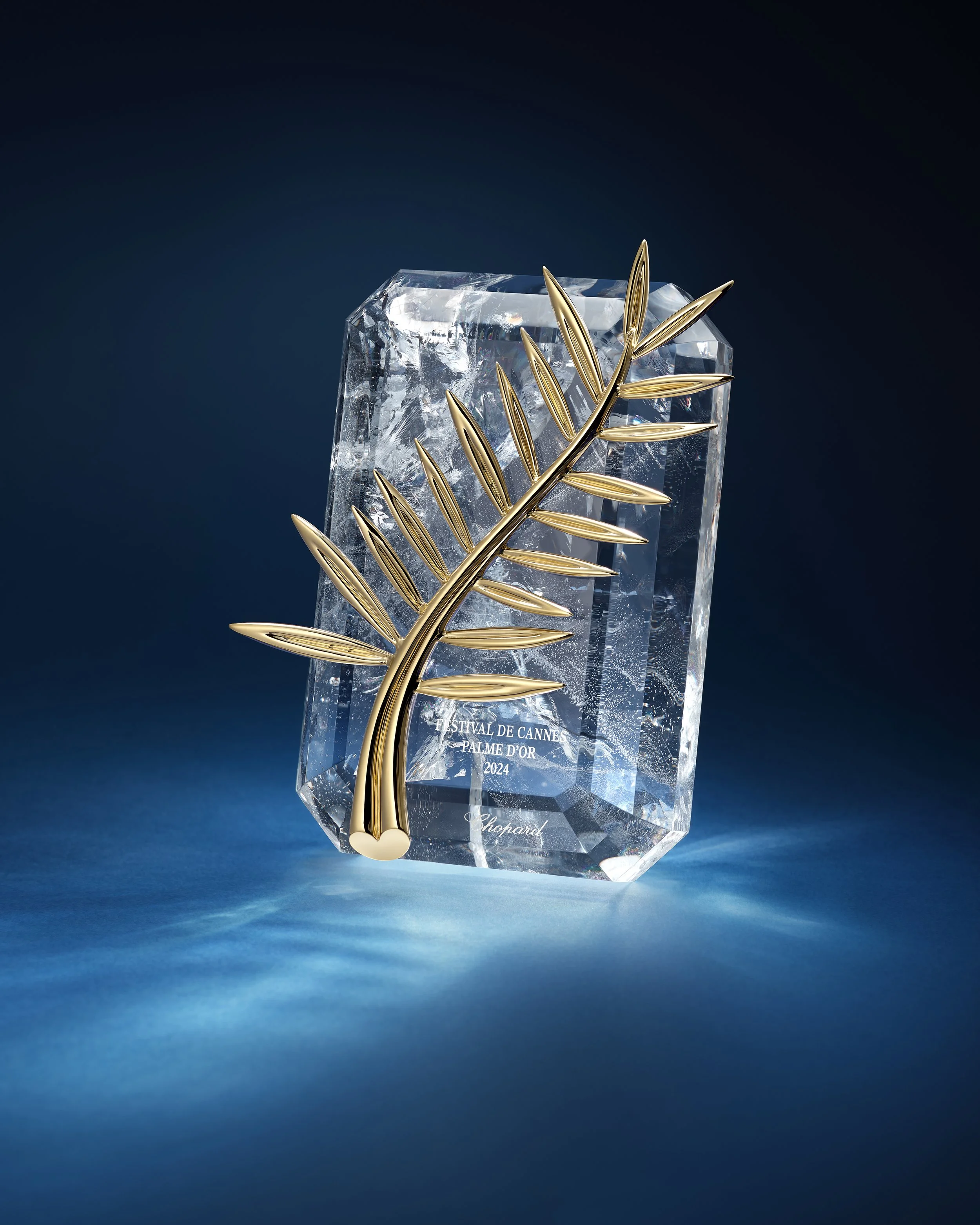 palme_2024.jpg