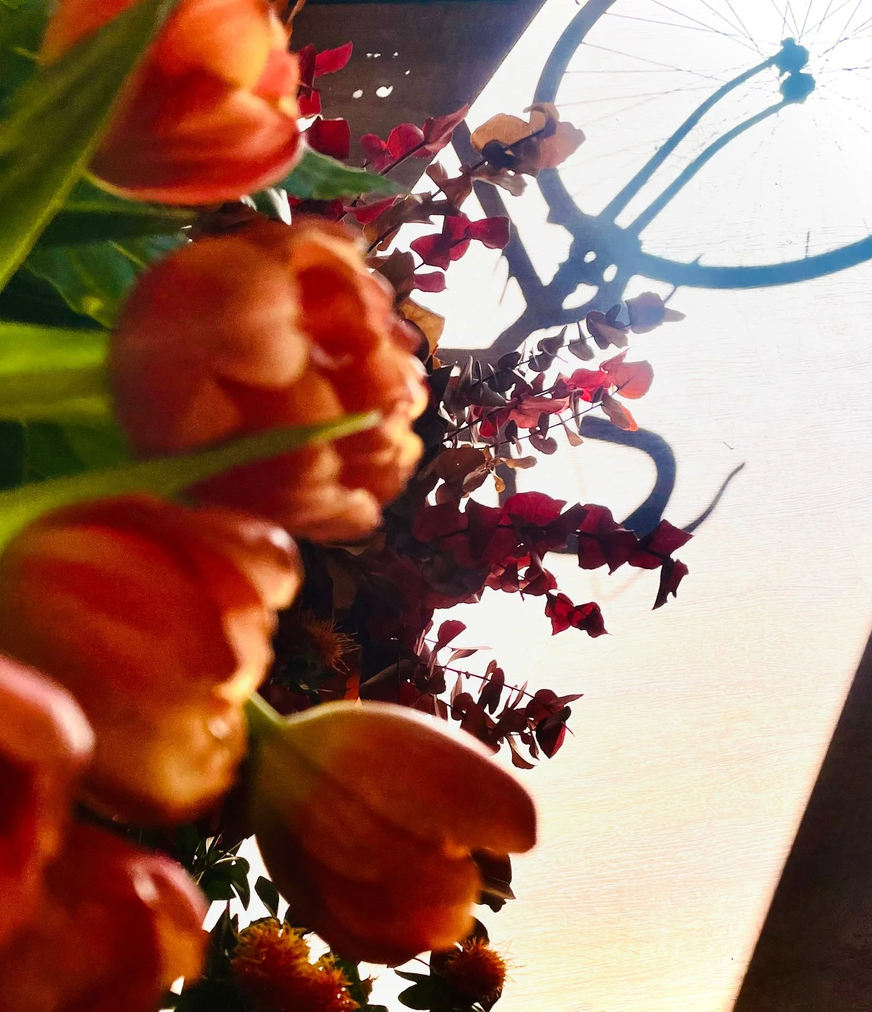 WhatsApp Image 2024-10-06 at 09.32.22.jpeg