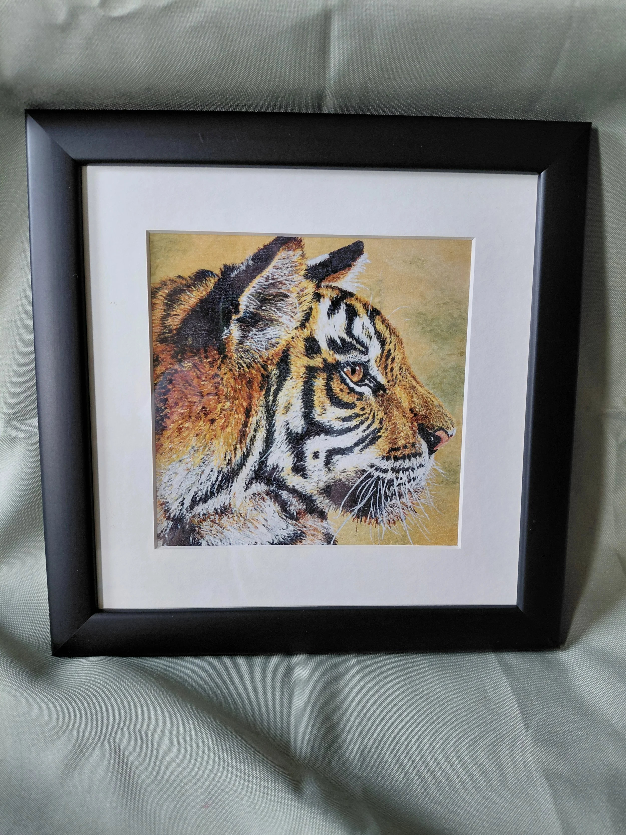 Profile Tiger - Framed Print