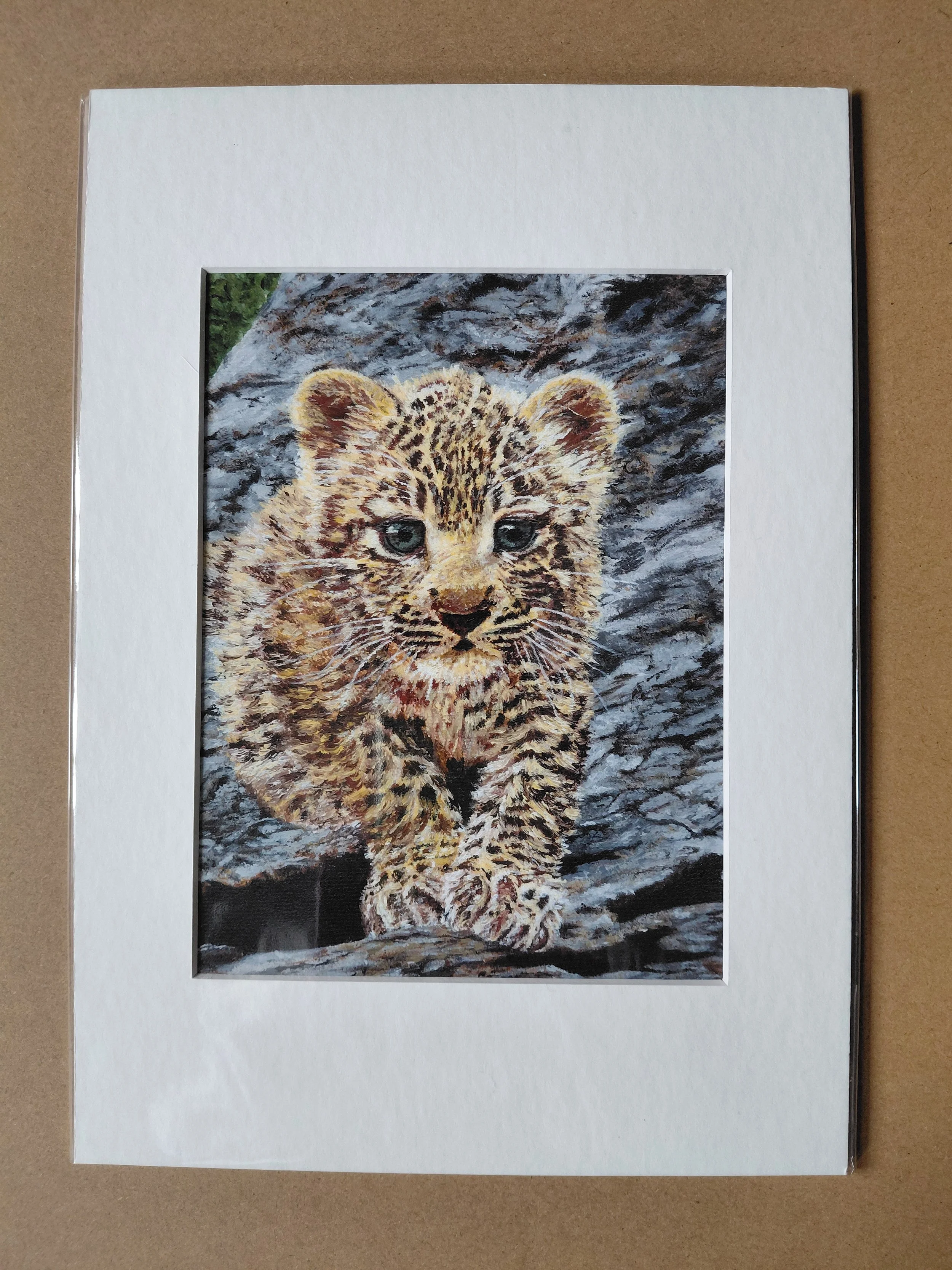 Leopard Cub - Master of Camouflage A5 Print in Mount