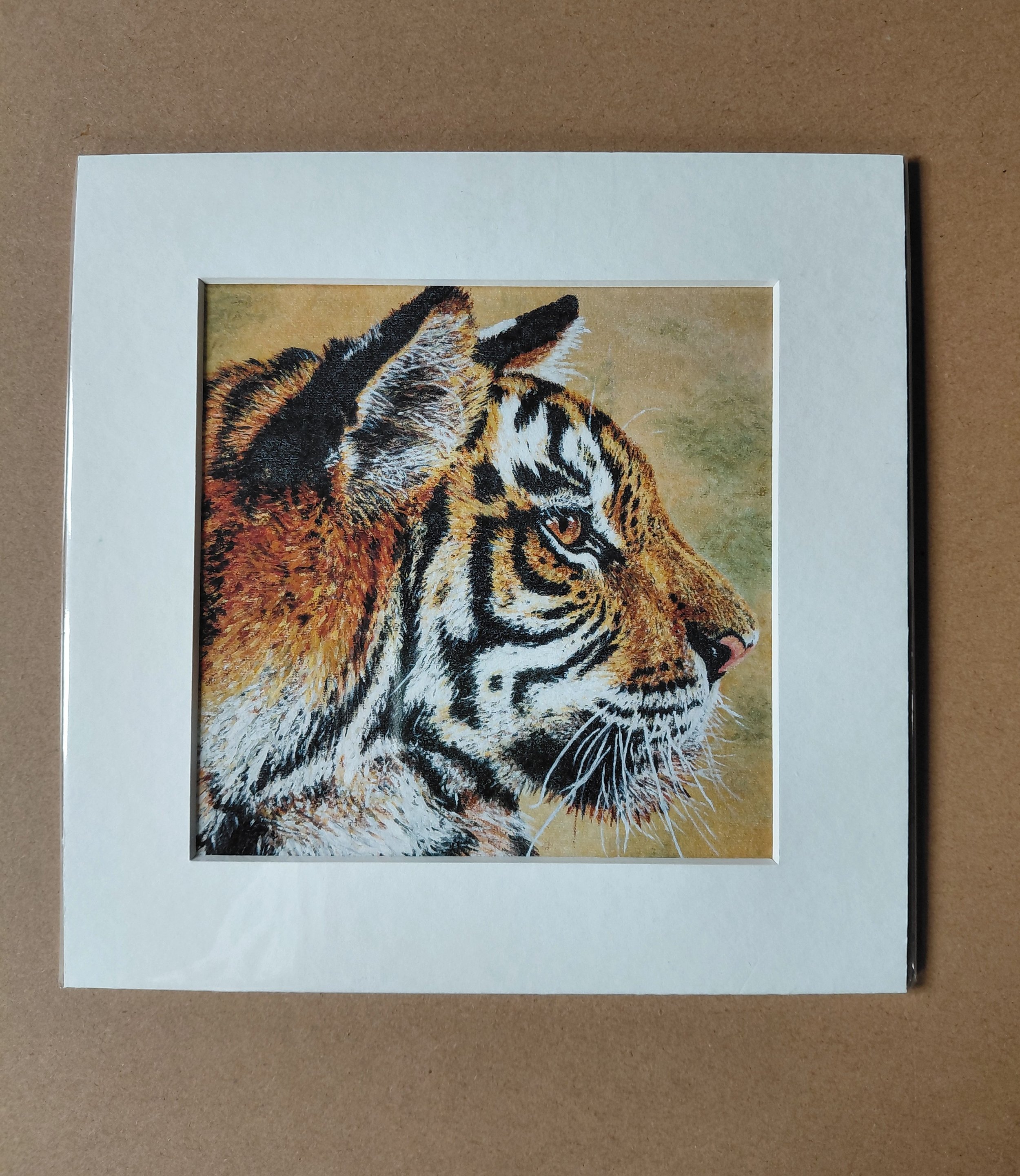 Profile Tiger - Square Print in Mount