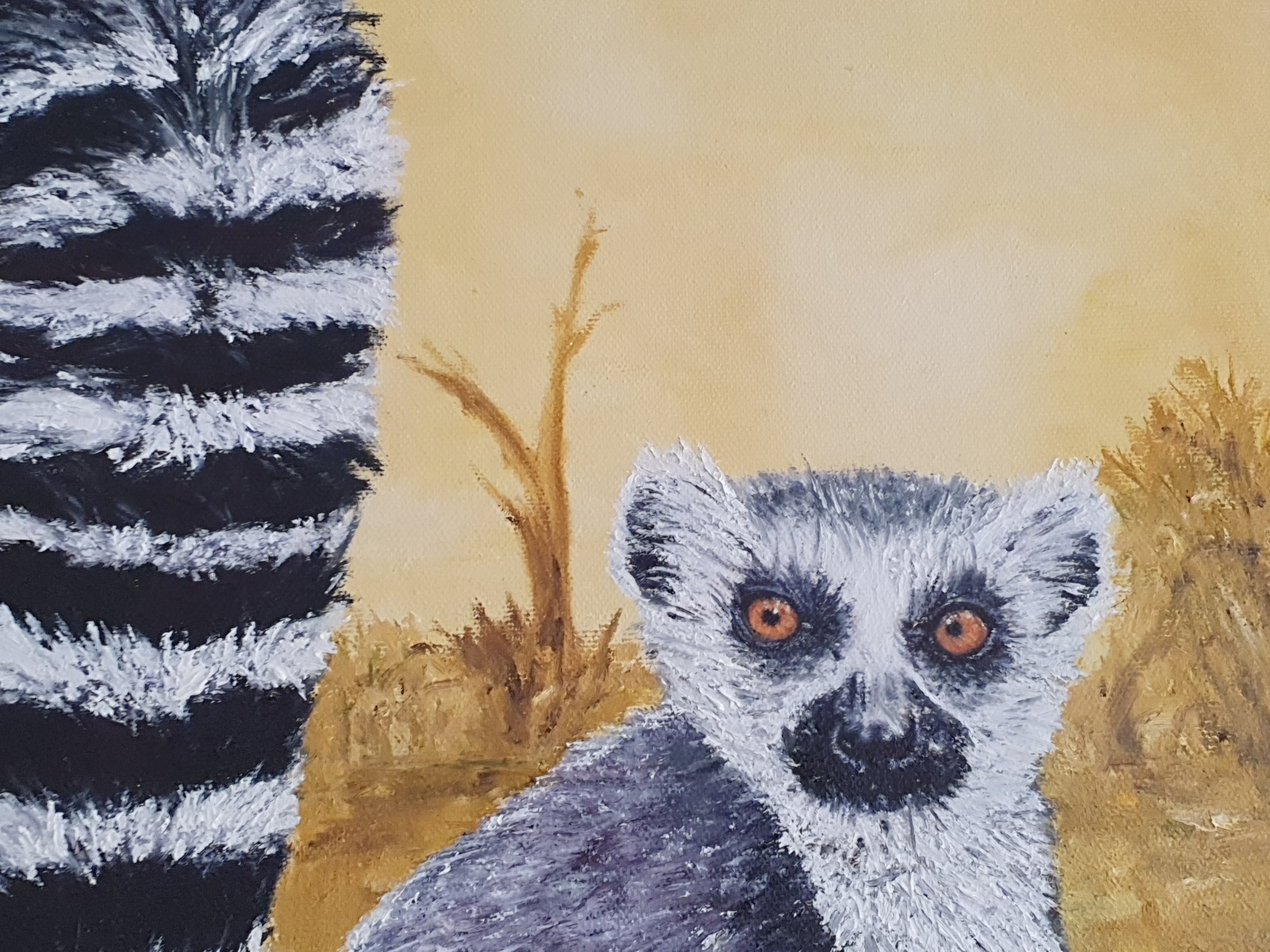Lemur close up.jpg