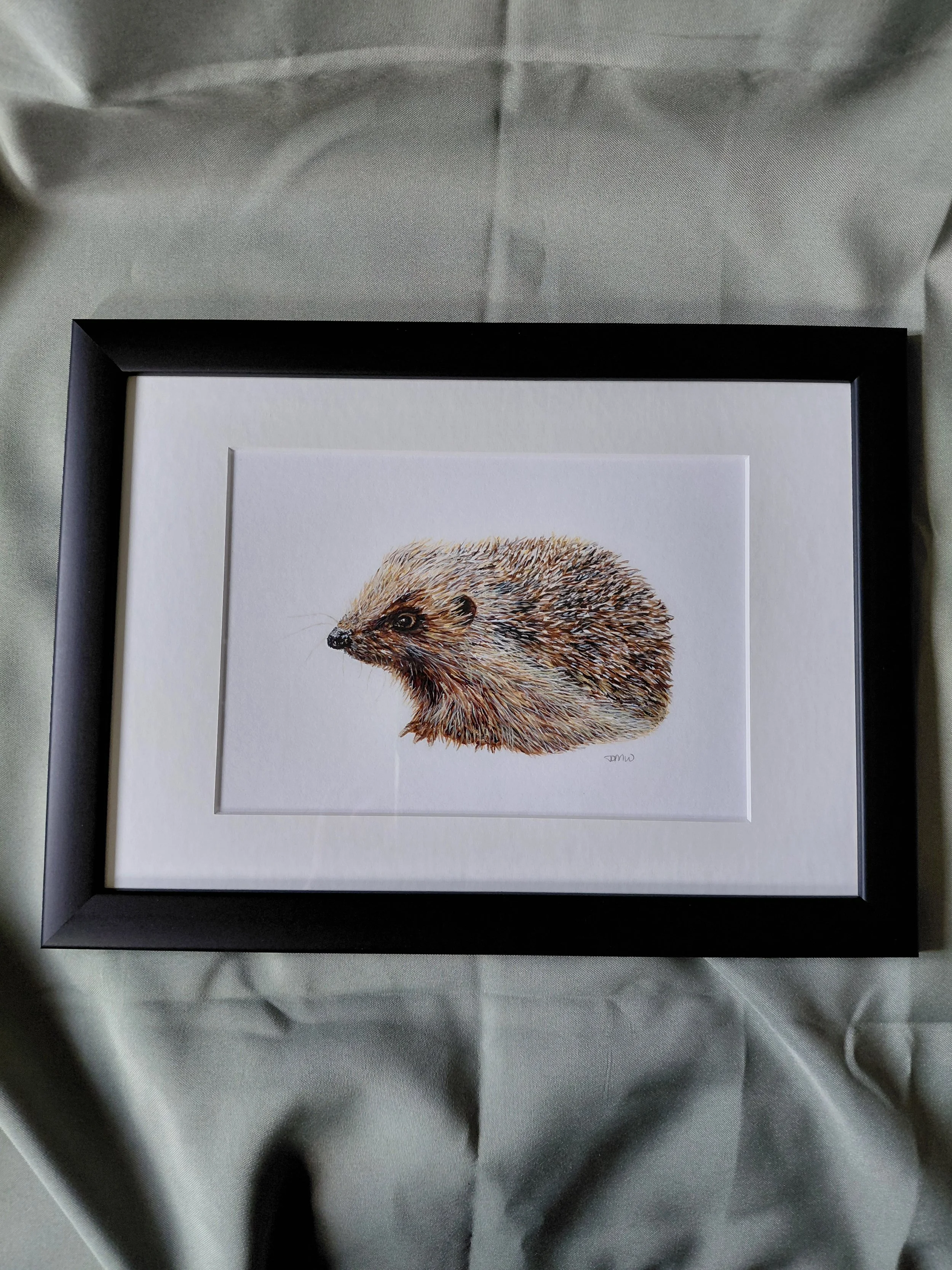 Harriet Hedgehog, inspired by busy hedgehogs everywhere - Framed Print