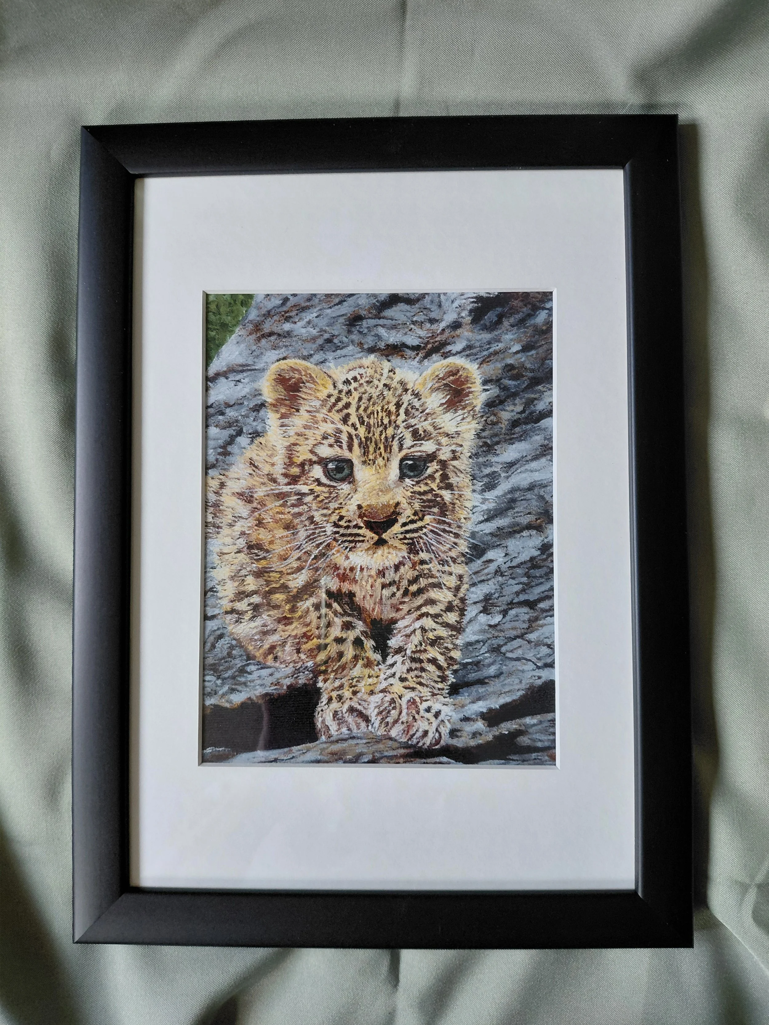 Leopard Cub - Master of Camouflage. Framed Print