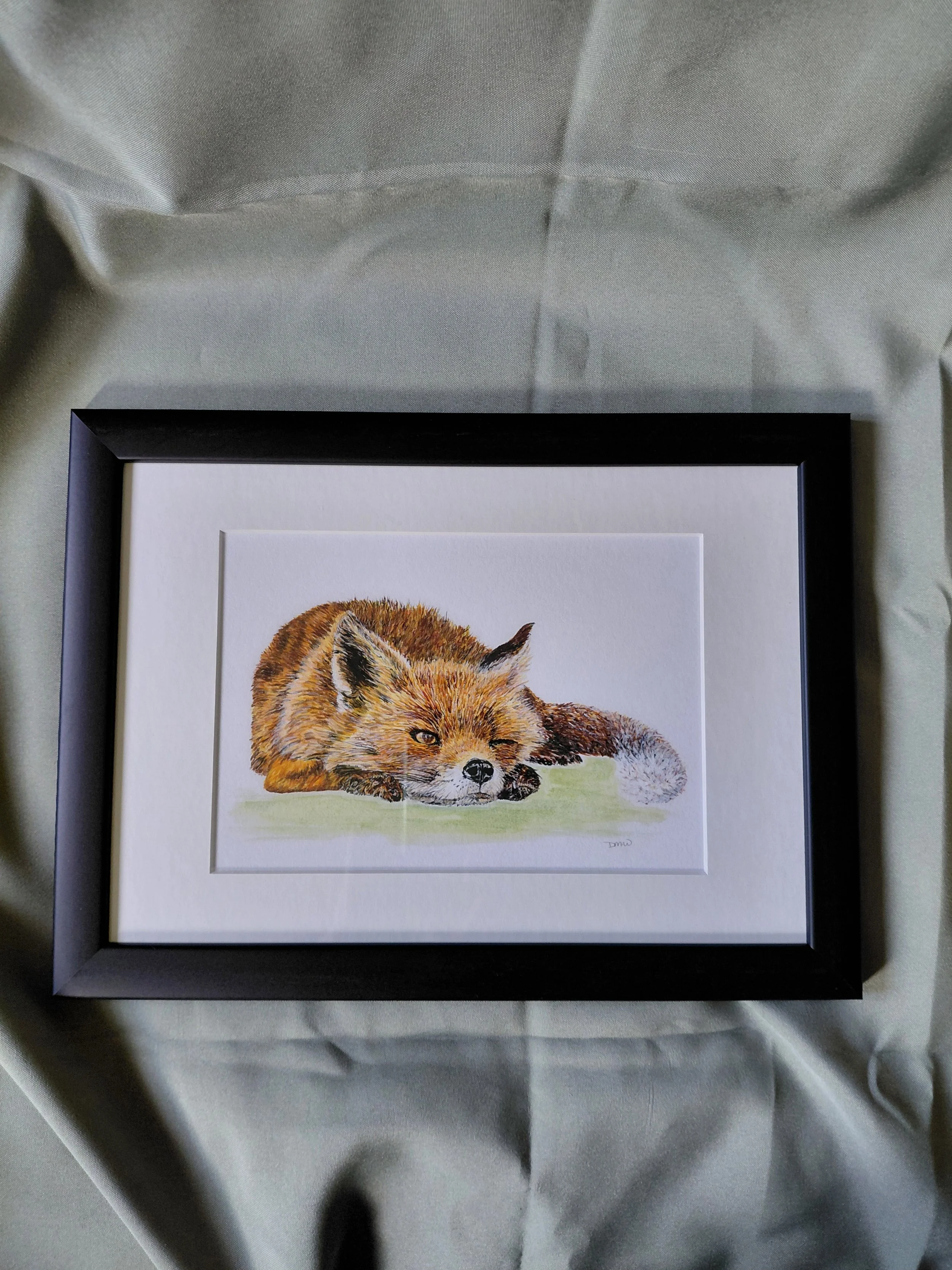 Watchful Fox - Framed Print