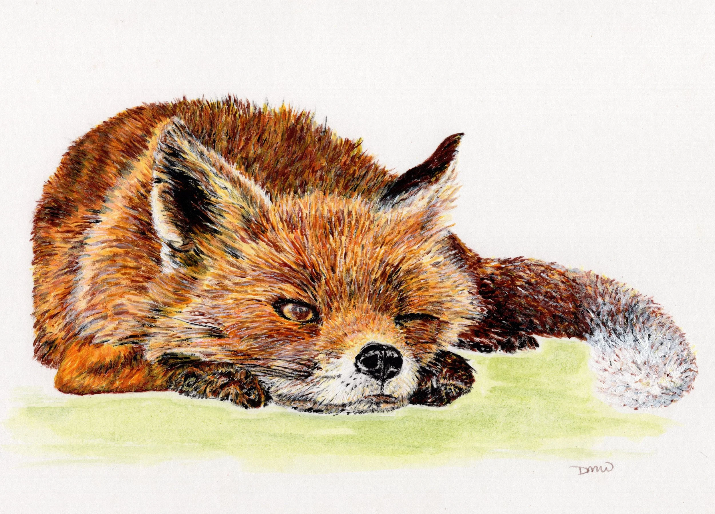 Fox - Watchful 7to5 placemat.jpg