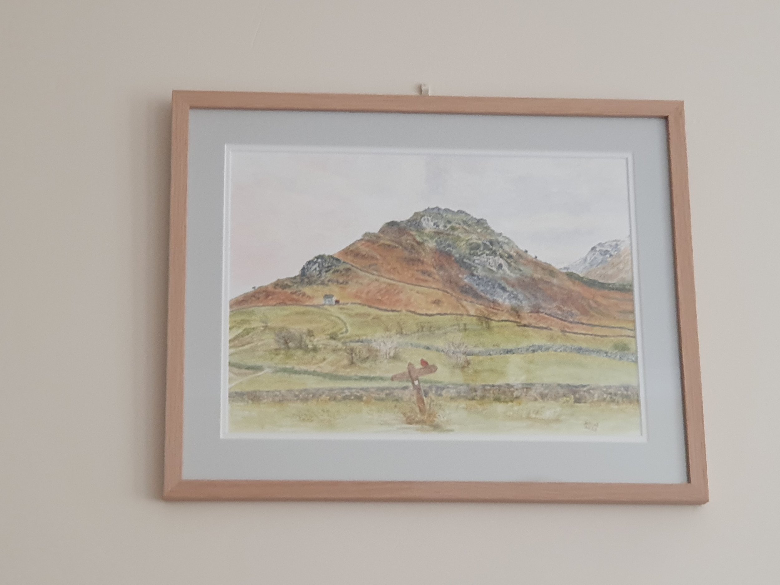 Walls finished in frame.jpg