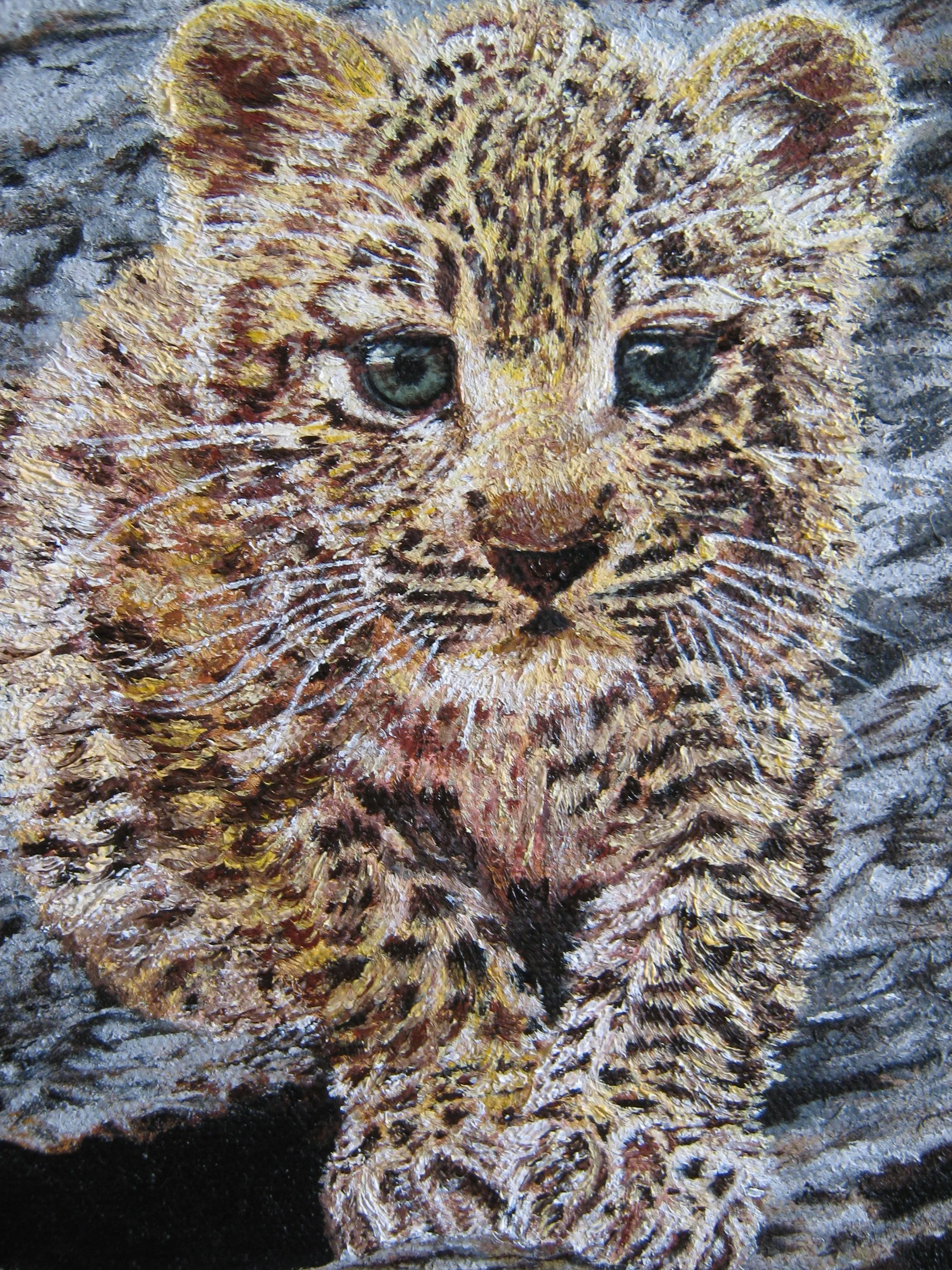 LeopardCub SKU DMW10-A5.JPG (Copy)