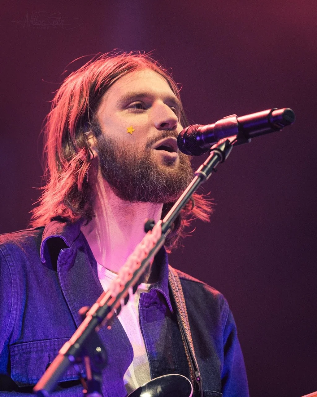 mt-joy-09 Large.jpeg