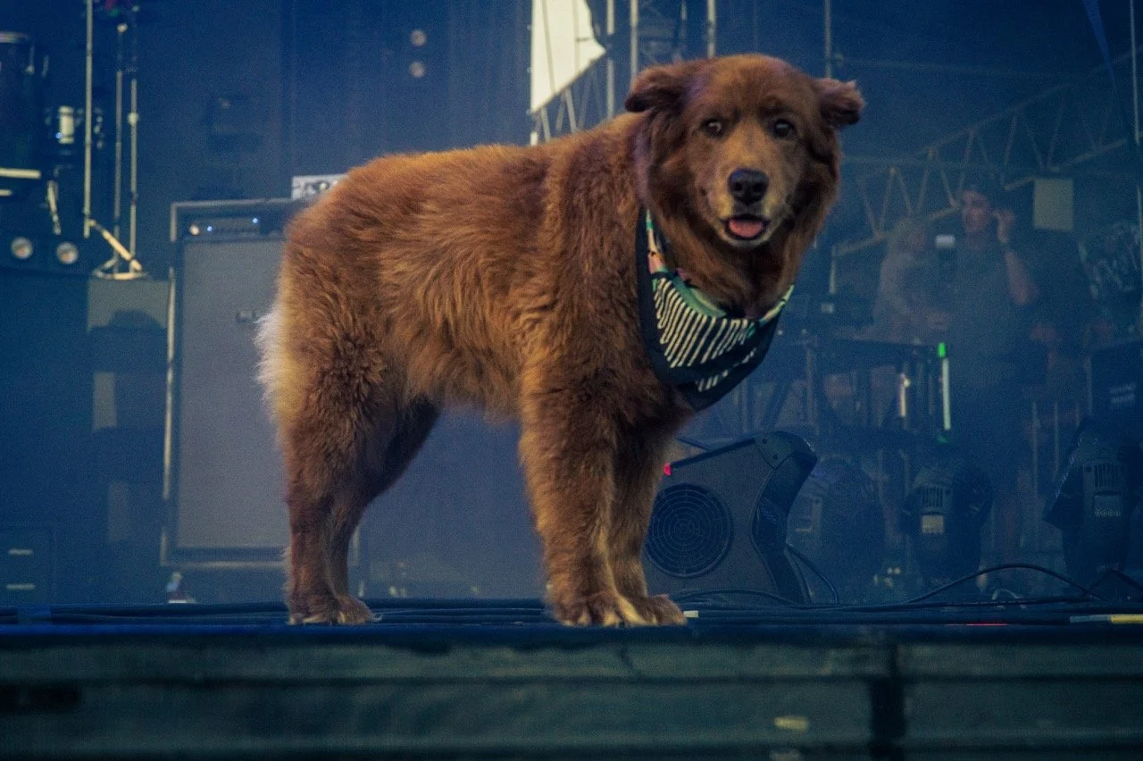 levitate-day-one-10 Large.jpeg