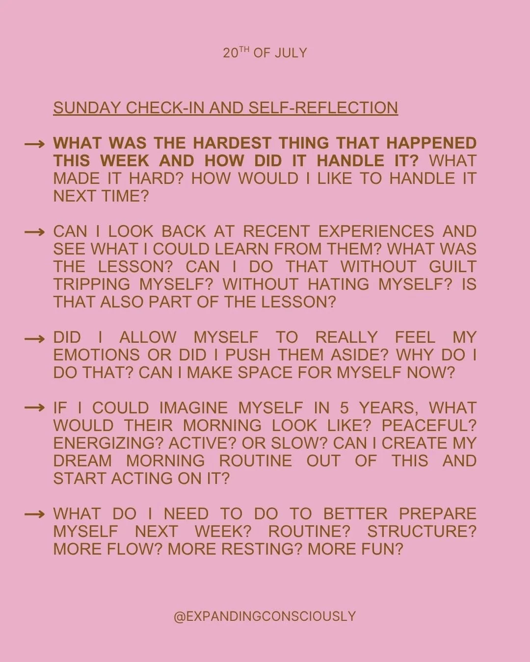 prompts and check-ins.jpg