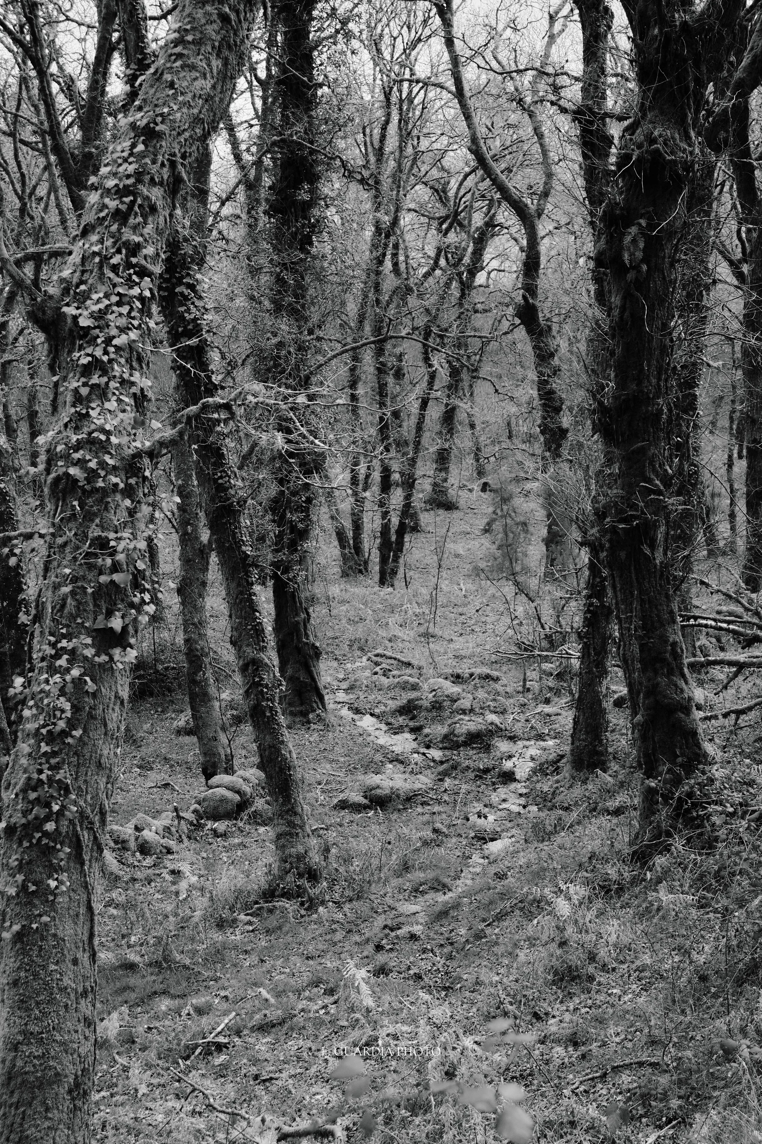DSCF5357.jpg
