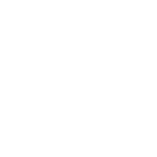 White Reset Logo Power Button