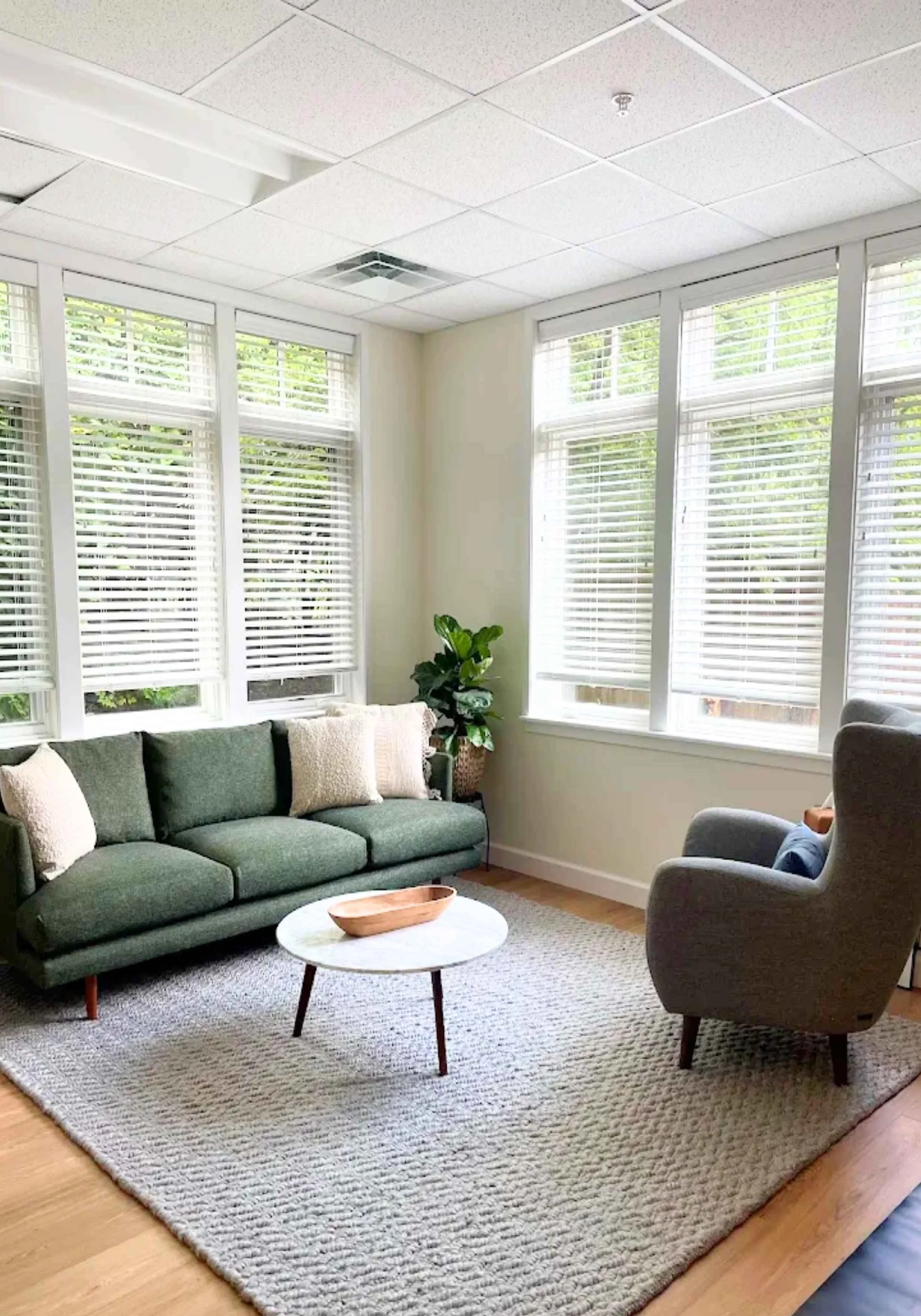 Reset Ann Arbor office with windows, plants, and green couch.