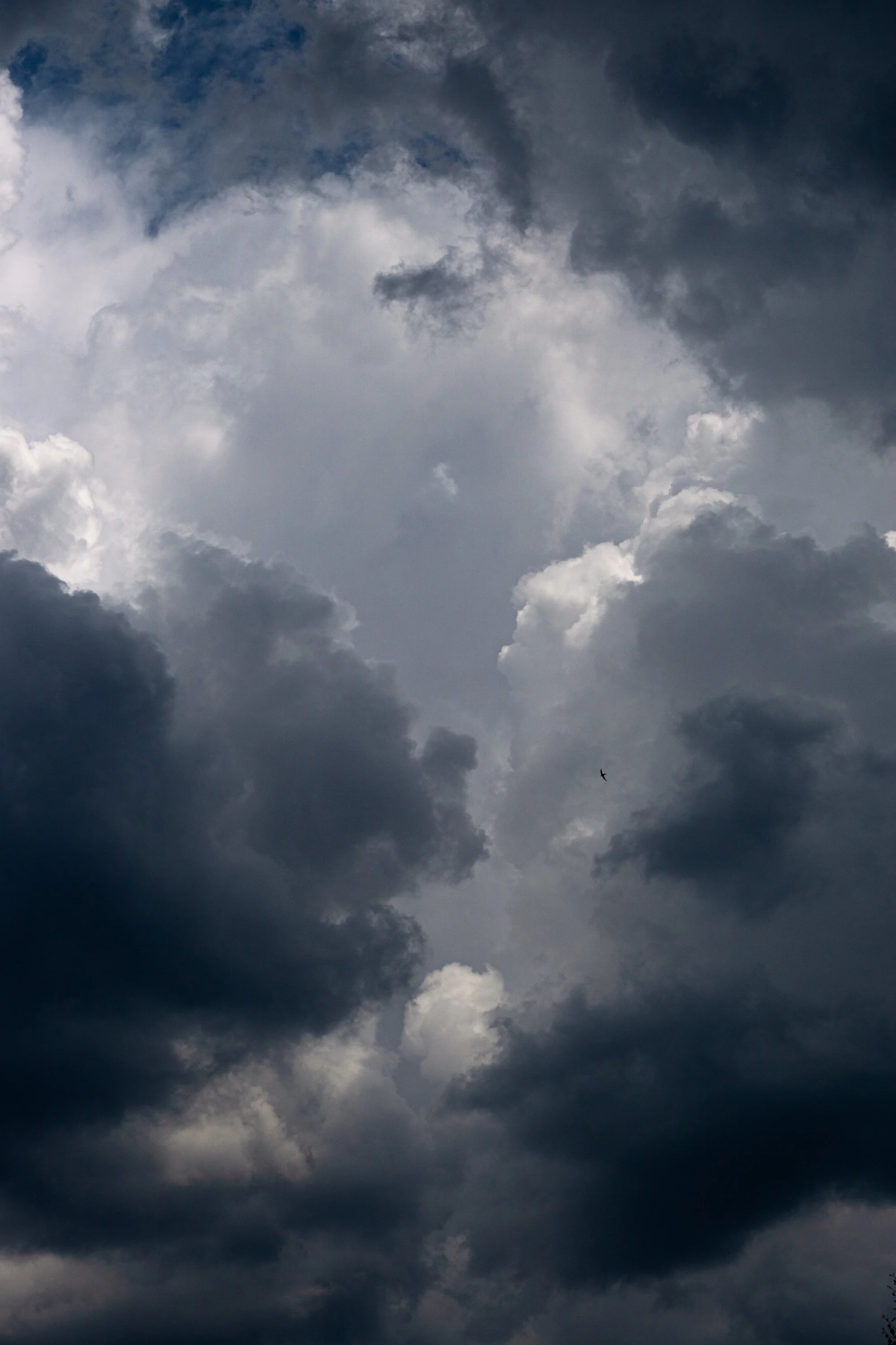 Grulich-Clouds_2.jpg