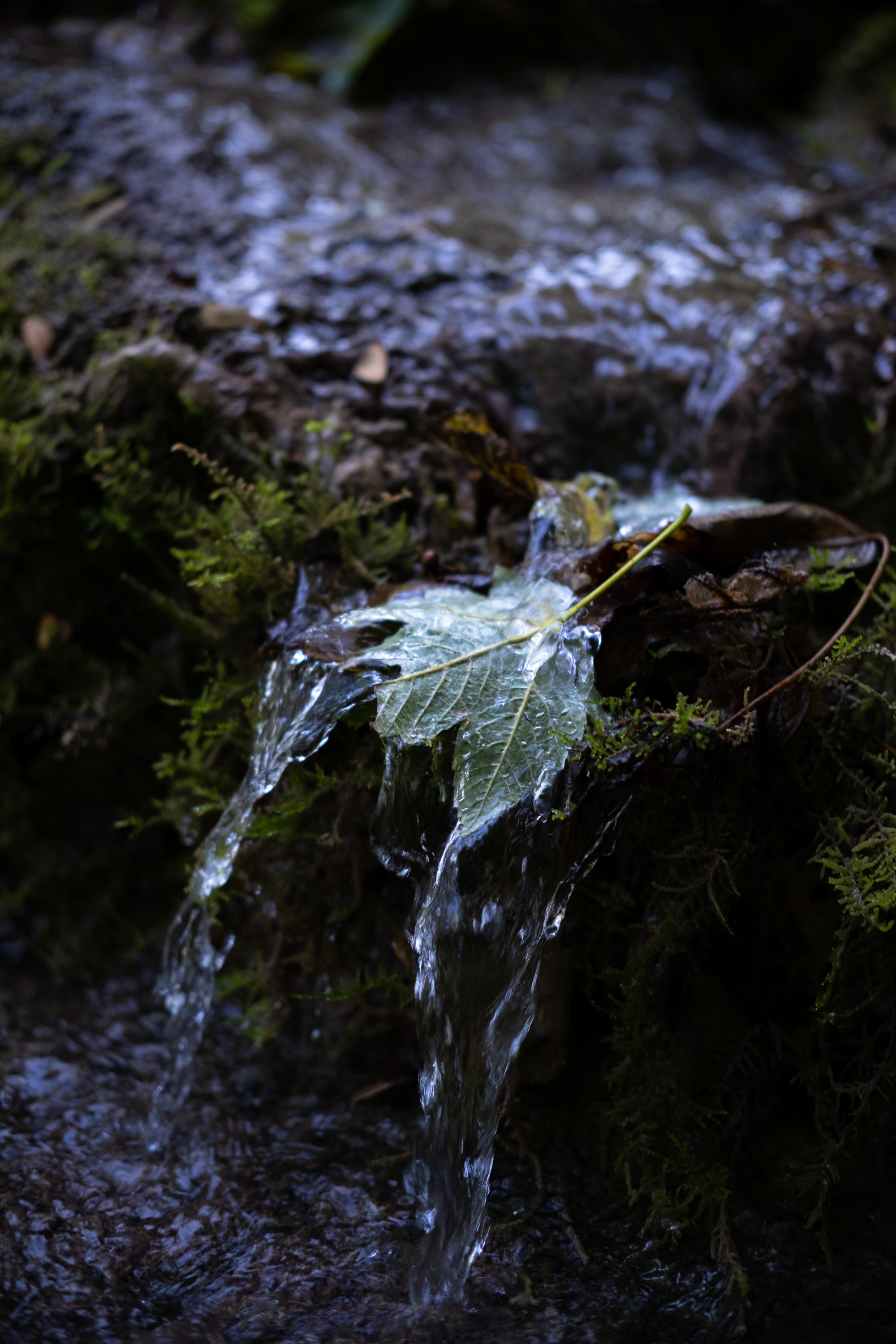Grulich_BadUrach_084.jpg
