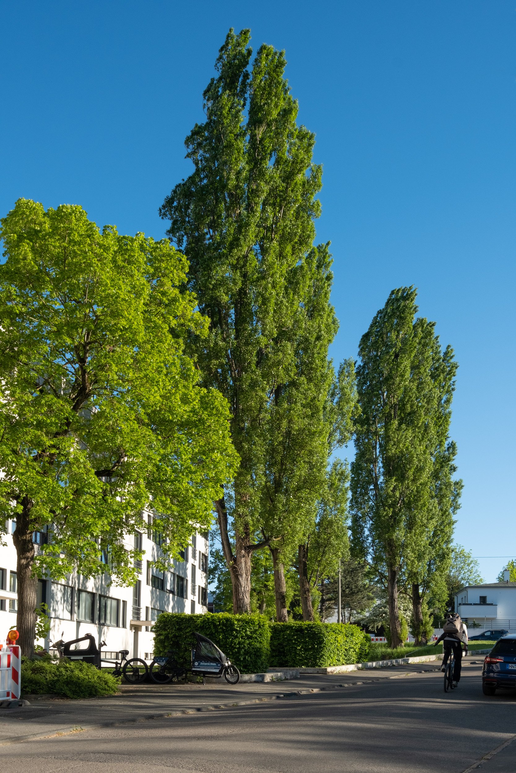 260501_Grulich_Weißenhofsiedlung_134.jpg