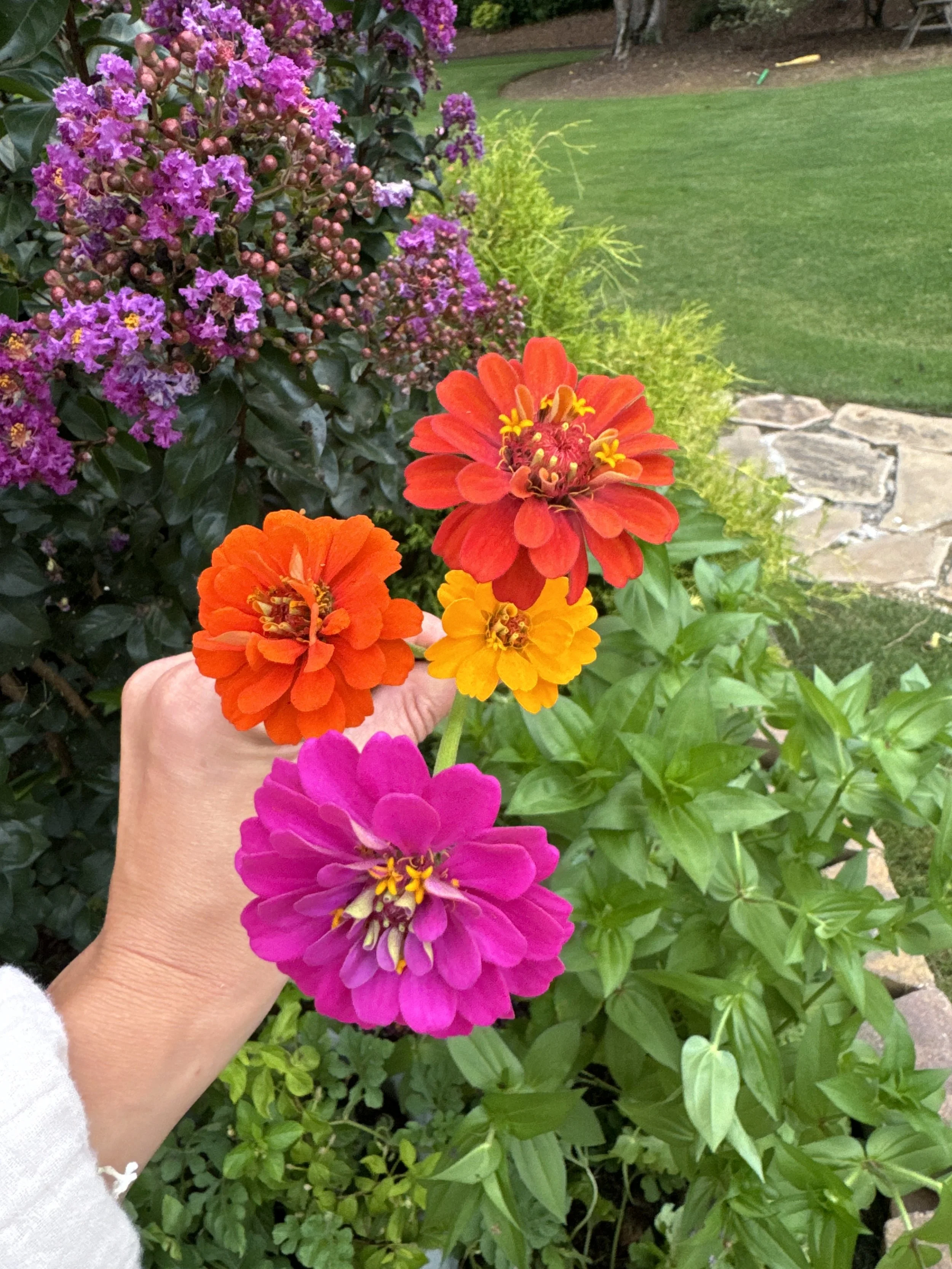 IMG_5503.jpeg