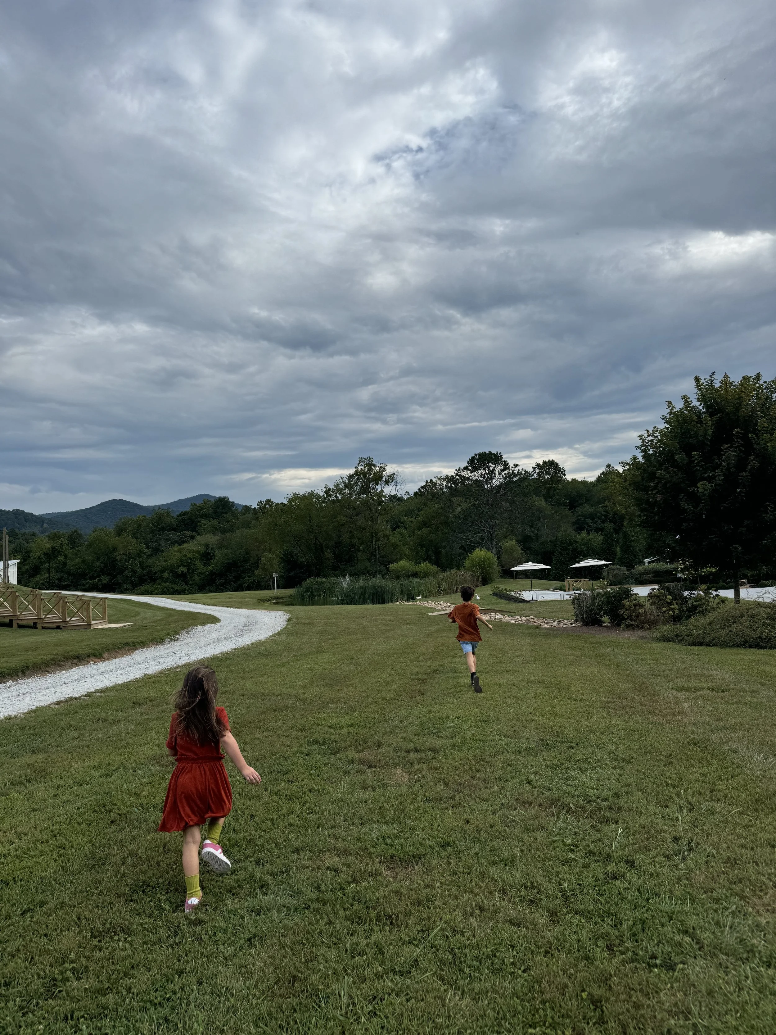IMG_7255.jpeg