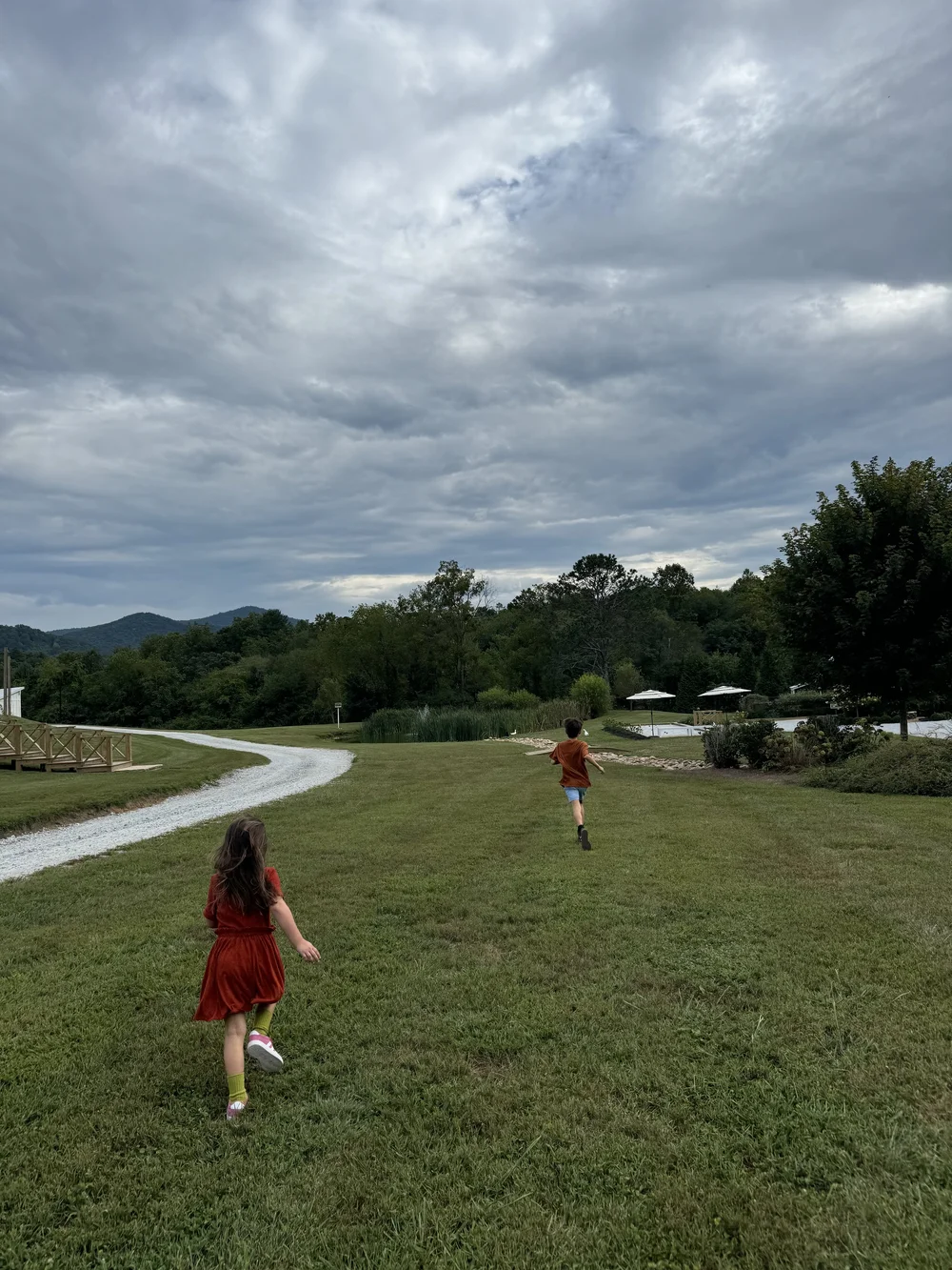 IMG_7255.jpeg