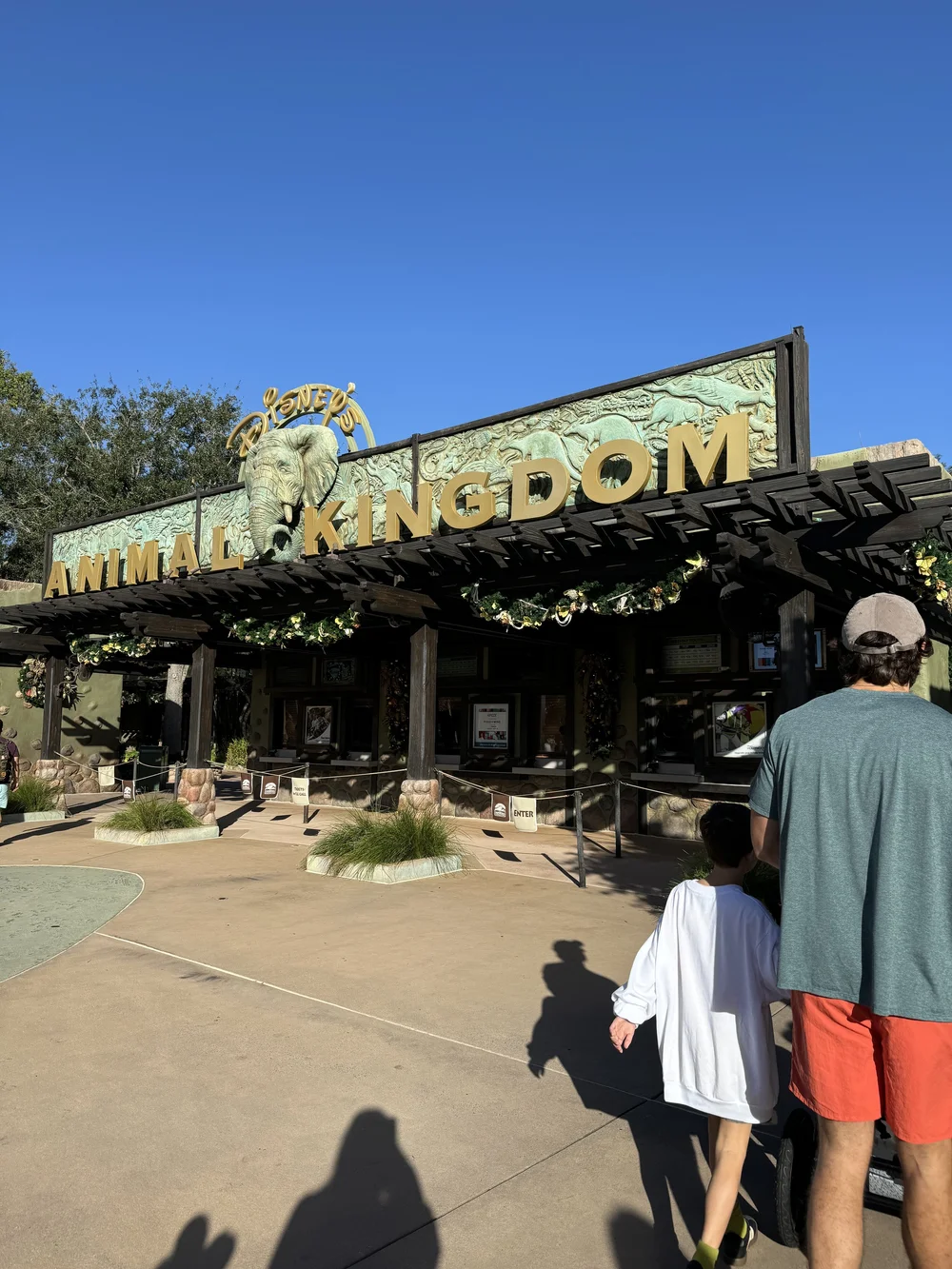 IMG_0354.jpeg