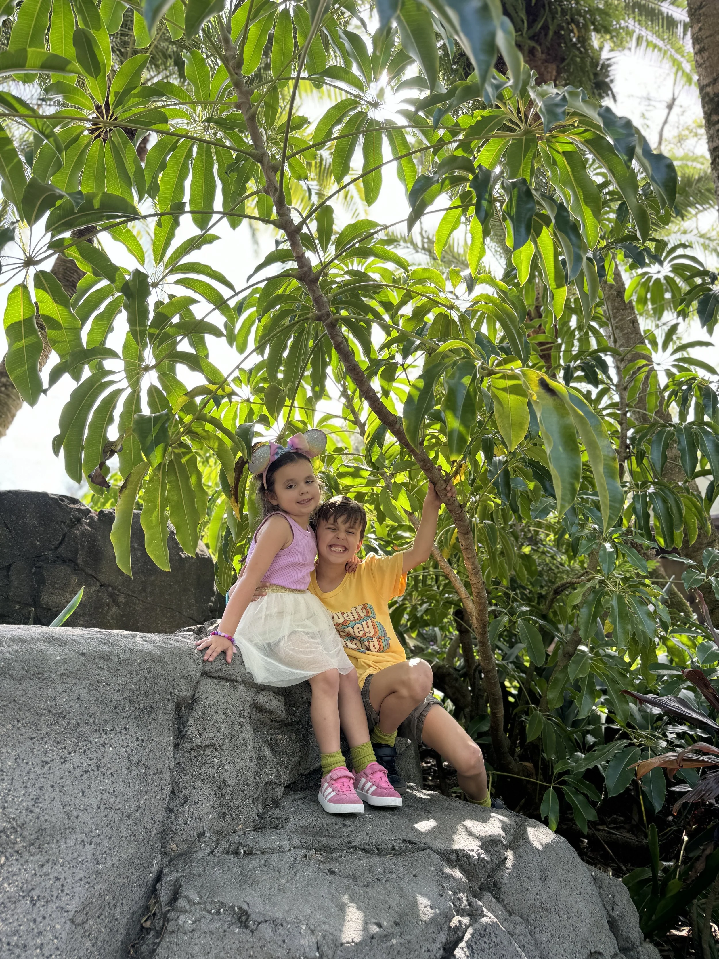 IMG_0396.jpeg