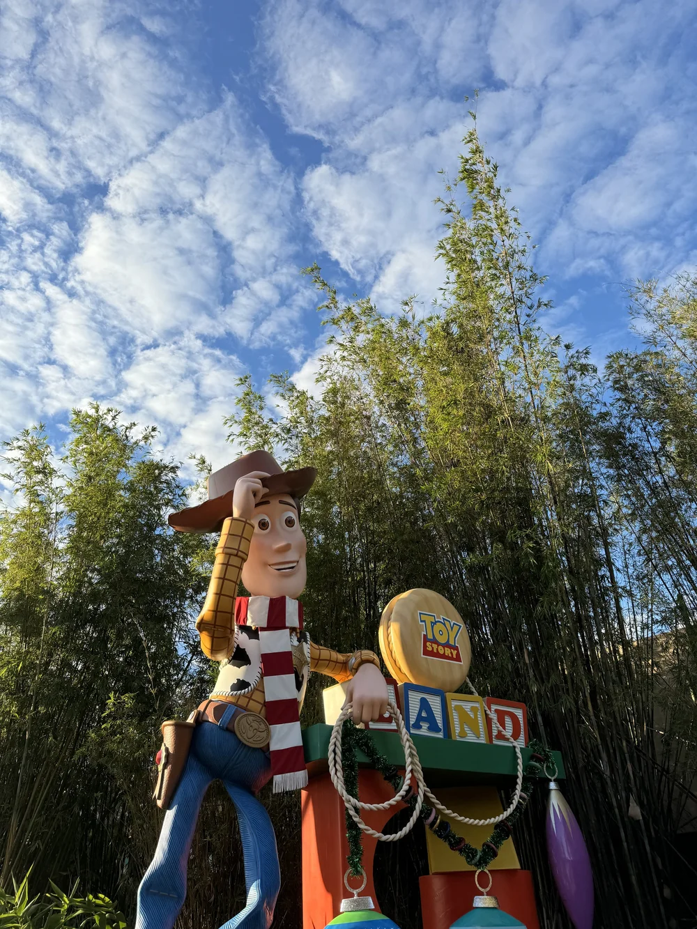 IMG_1077.jpeg