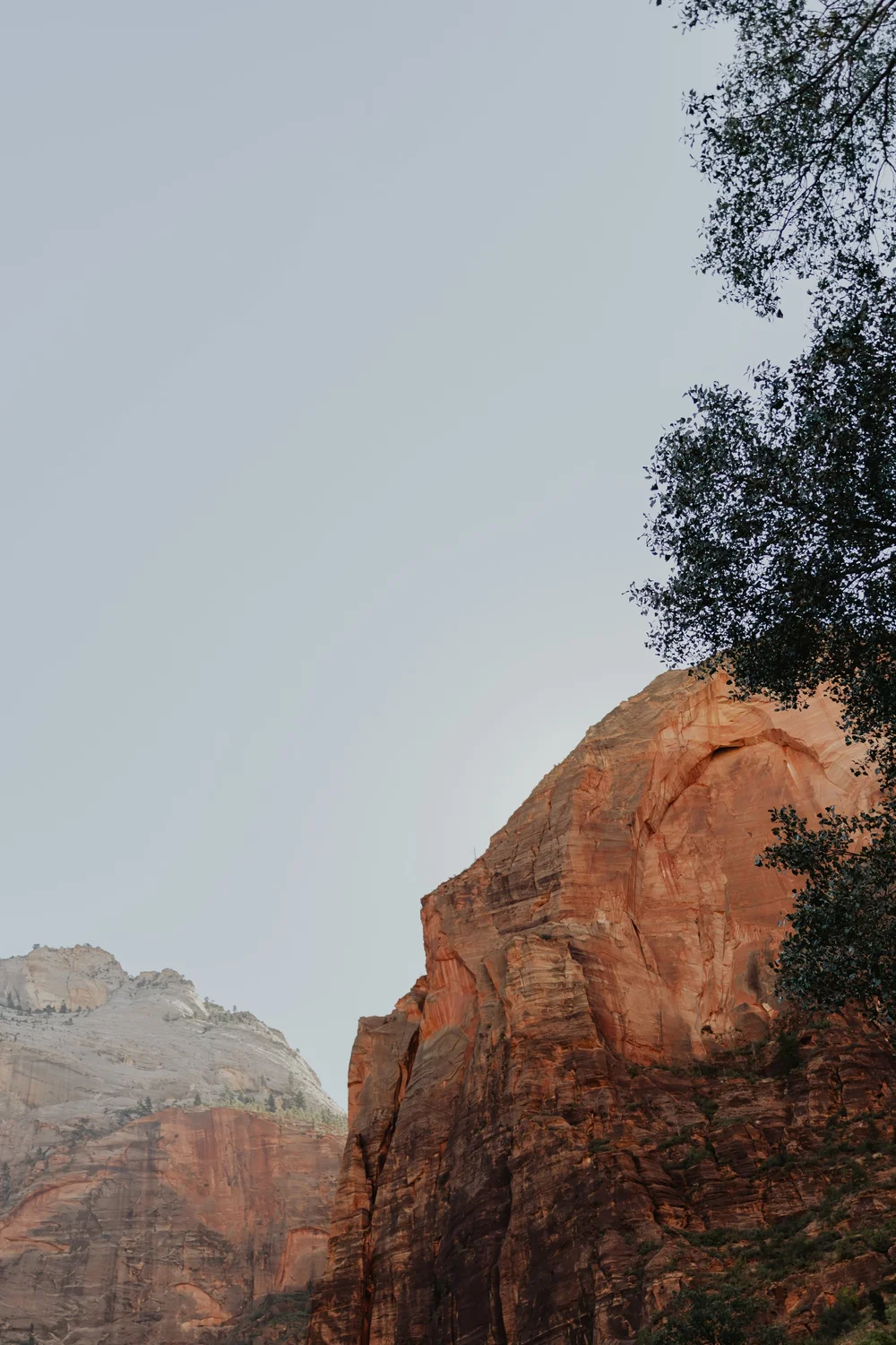 Katie Sutter Photo (140 of 422).jpg