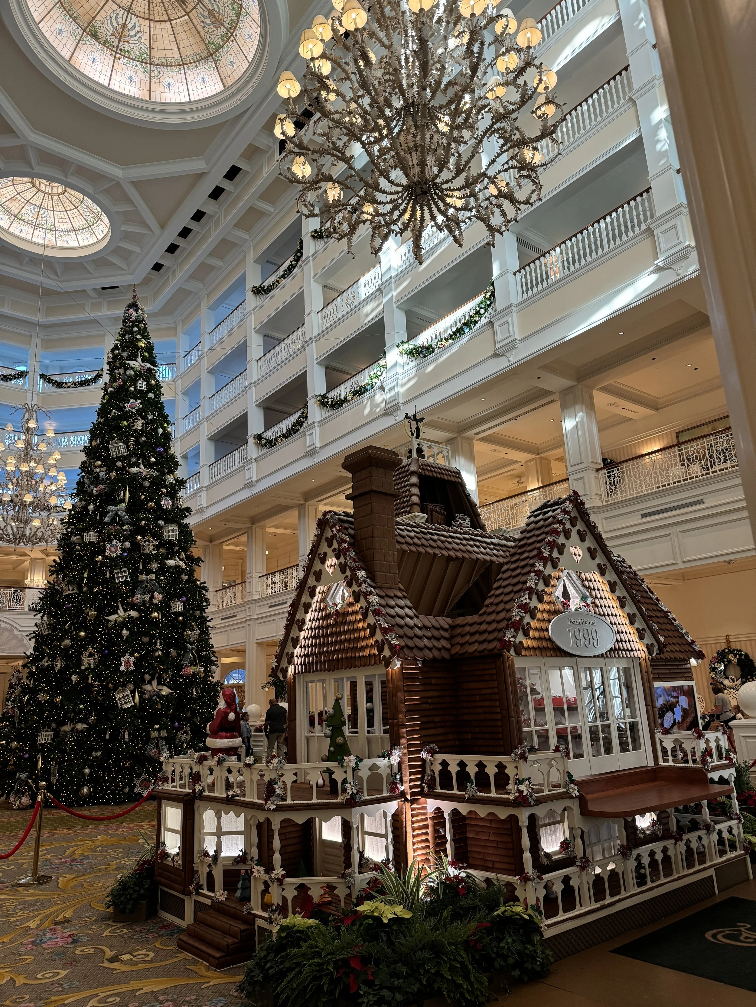 IMG_0334.jpeg
