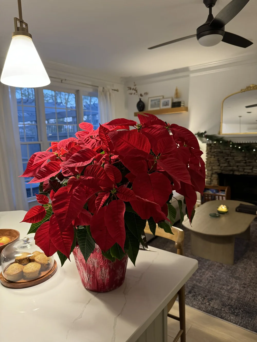 IMG_1762.jpeg