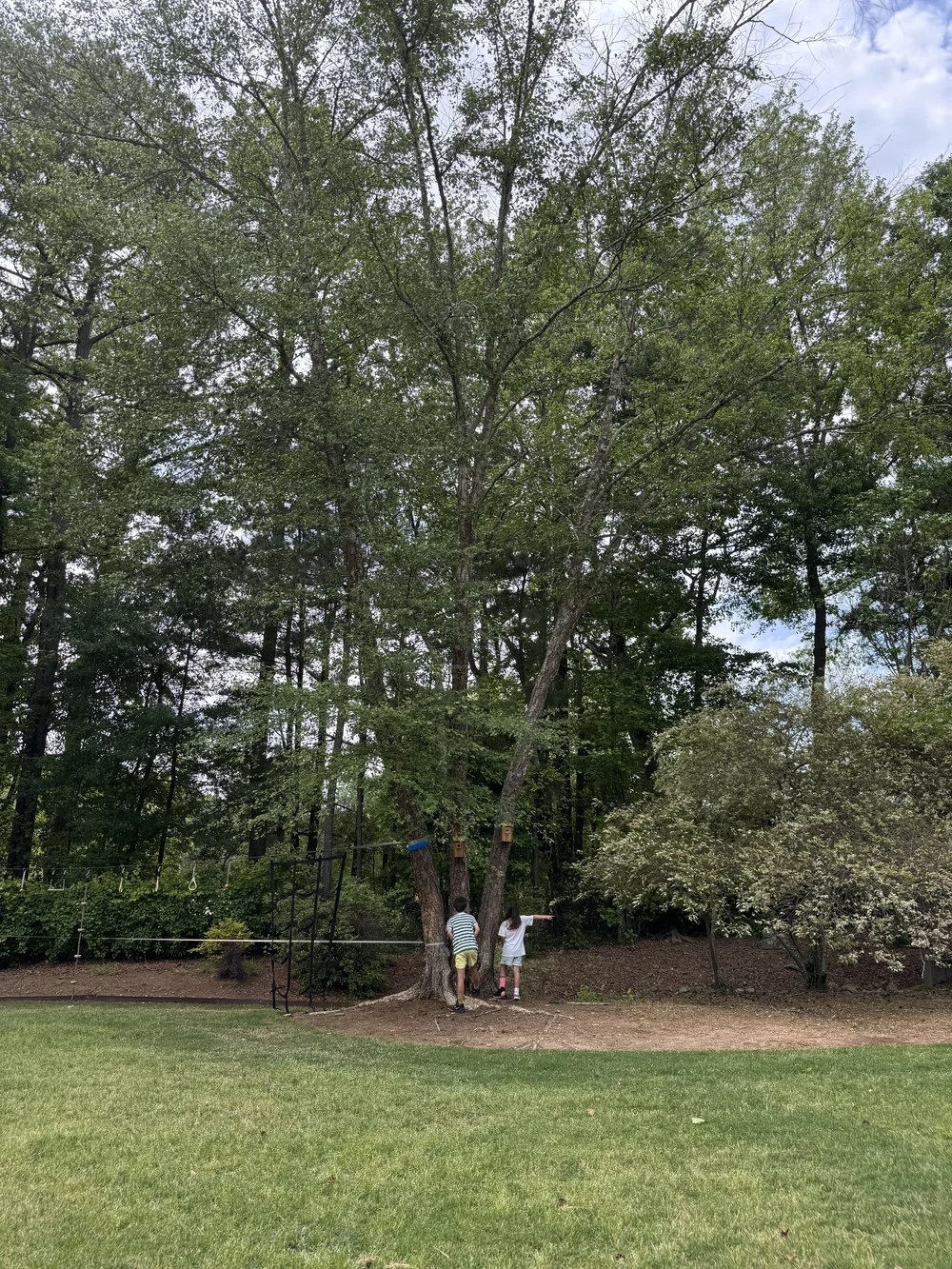 IMG_9178_05_2025.jpeg
