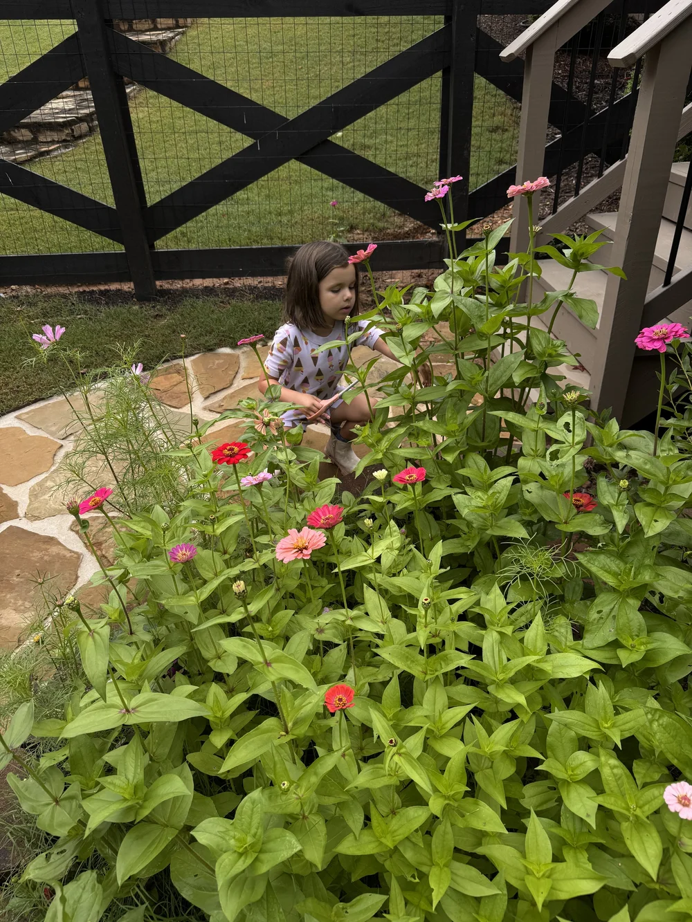 IMG_1607.jpeg