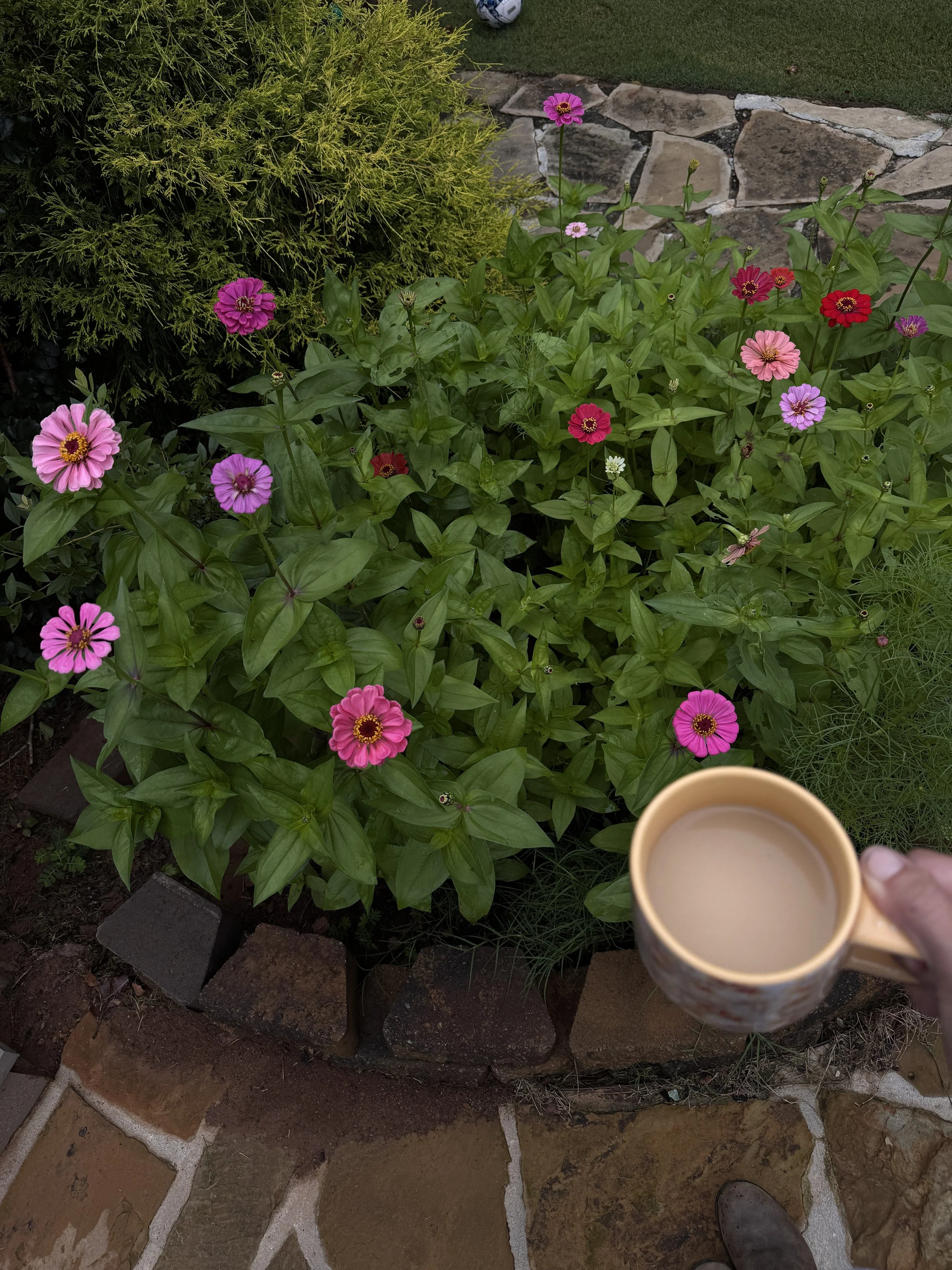 IMG_1602.jpeg