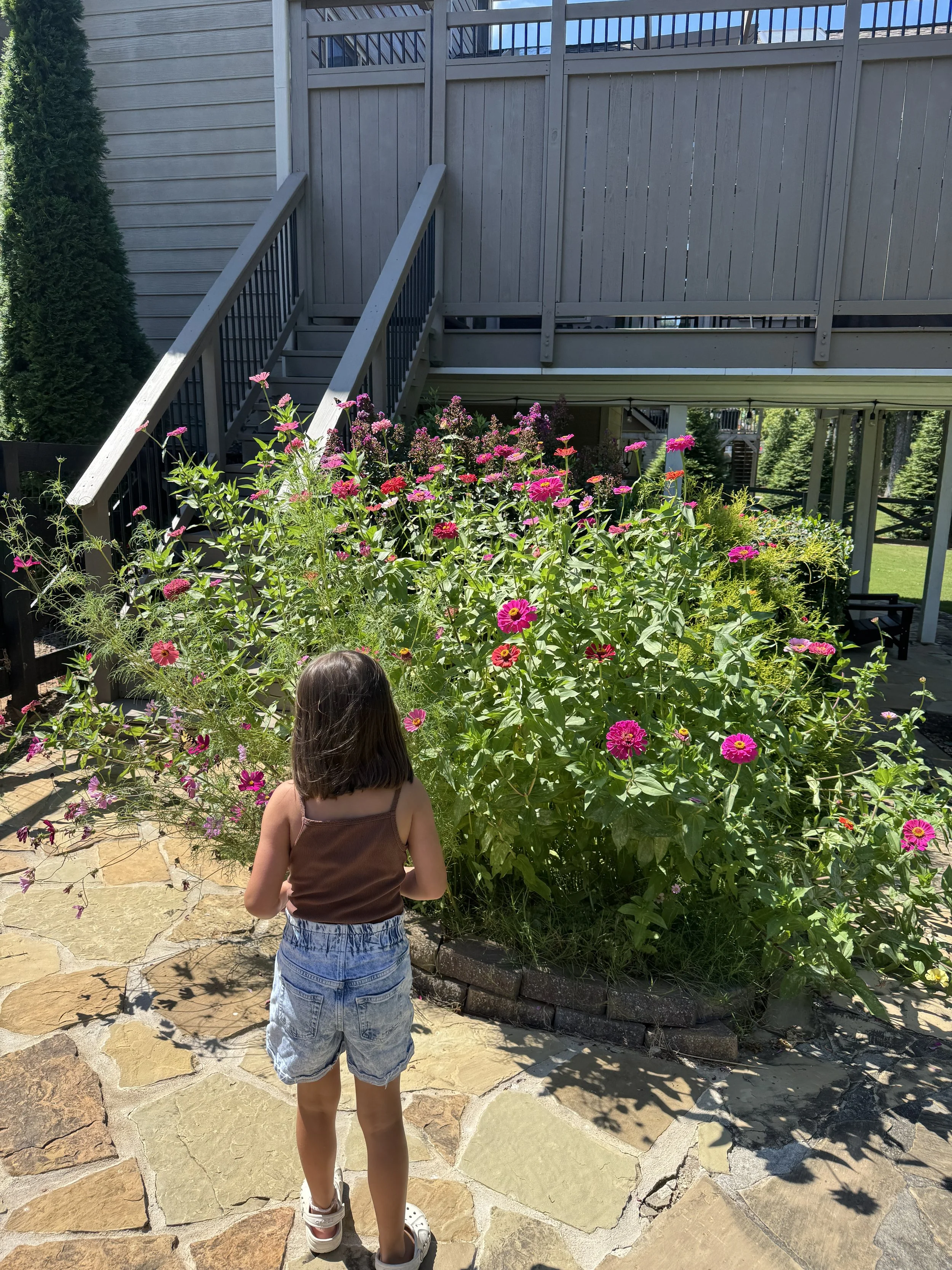 IMG_3814.jpeg