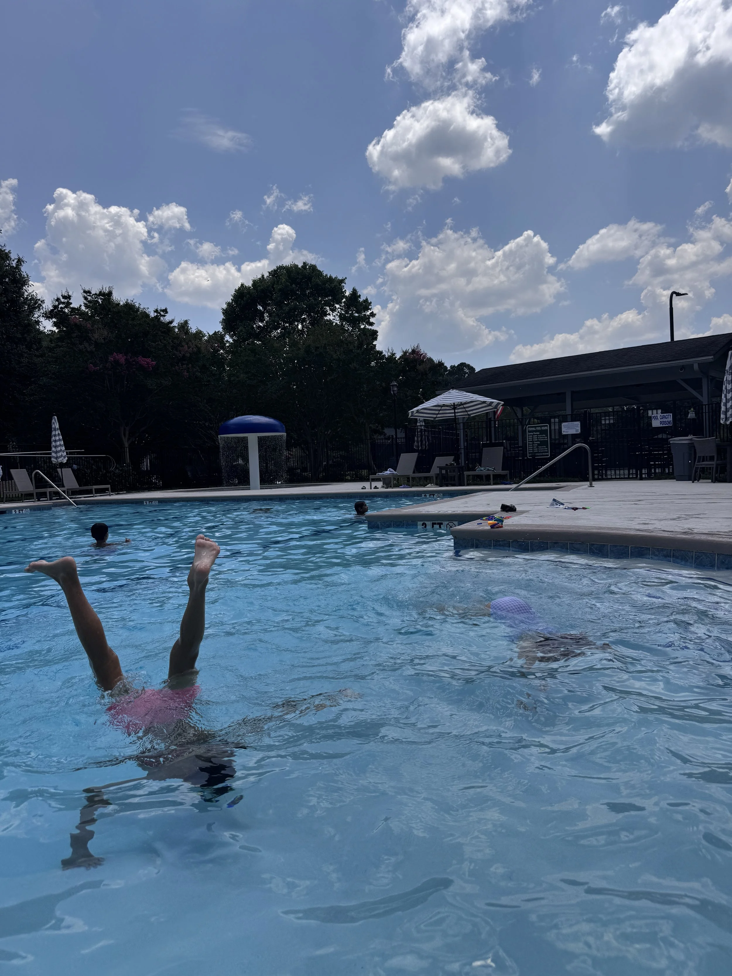 IMG_2719.jpeg