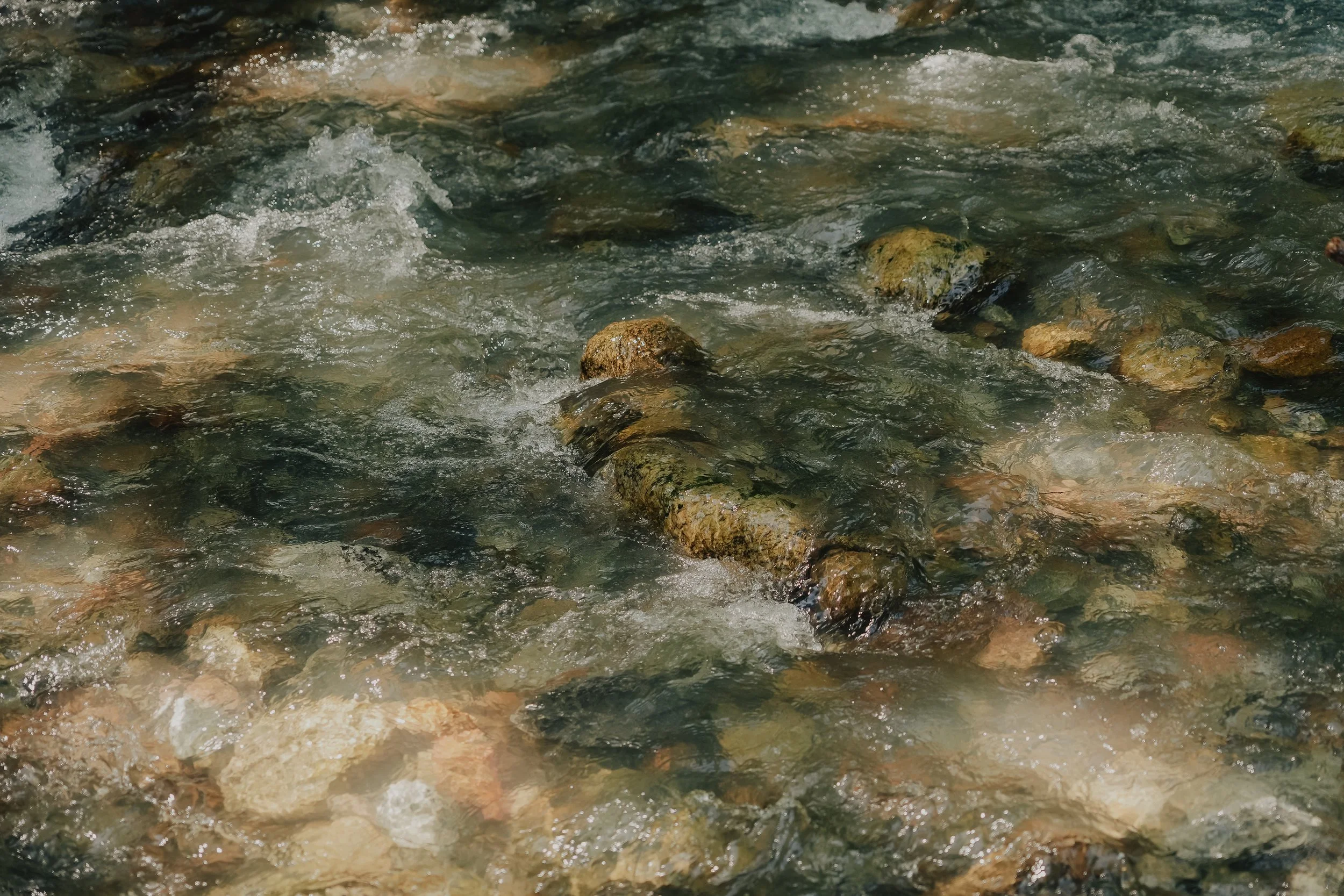 Katie Sutter Photo (46 of 64).jpg